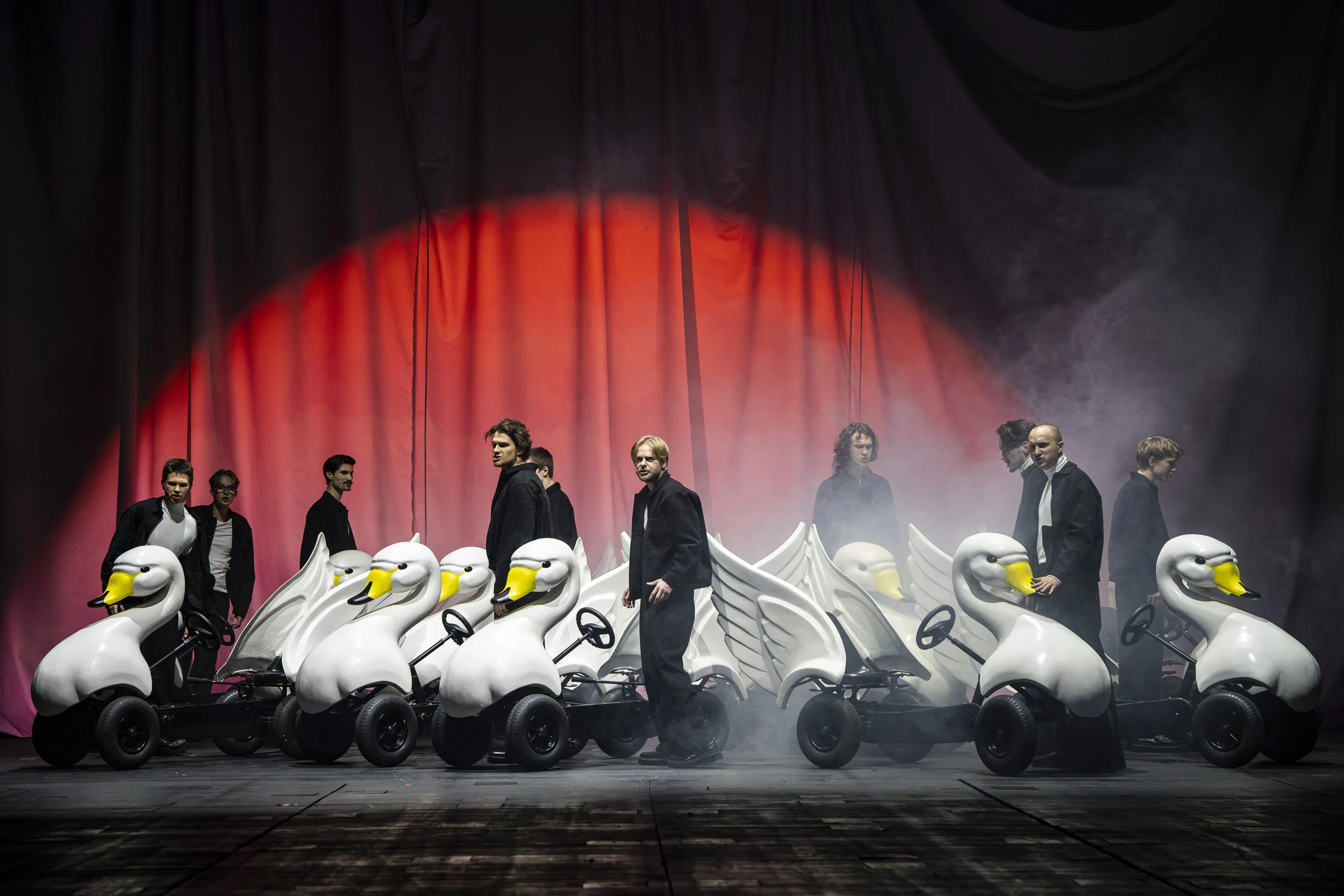 meža gulbji / the wild swans