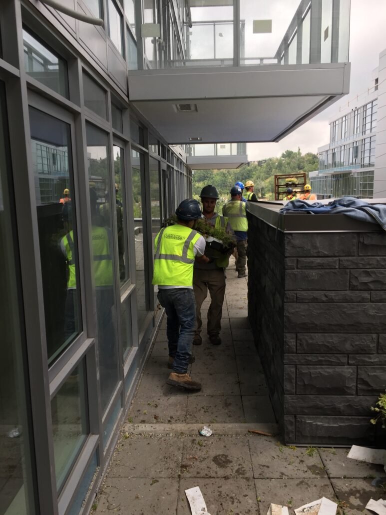 1-62-773x1030.jpg