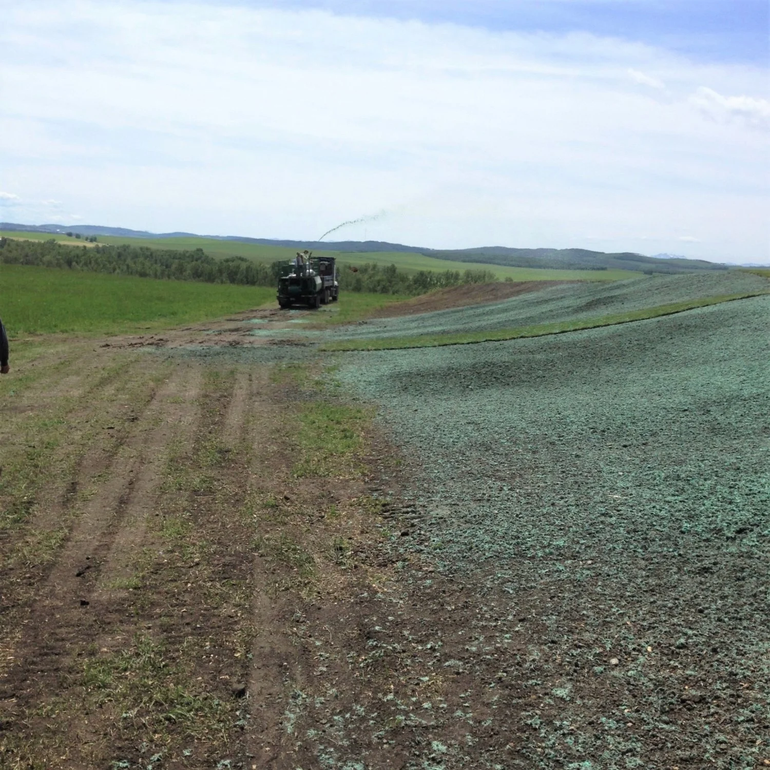 SOD, HYDROSEED & SYNTHETIC TURF