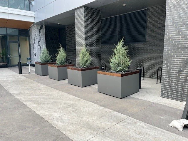 PLANTING