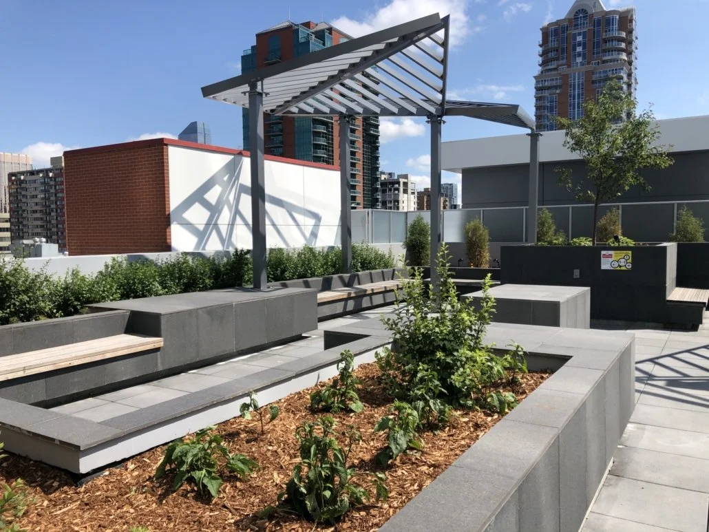 High Rise Beltline 3