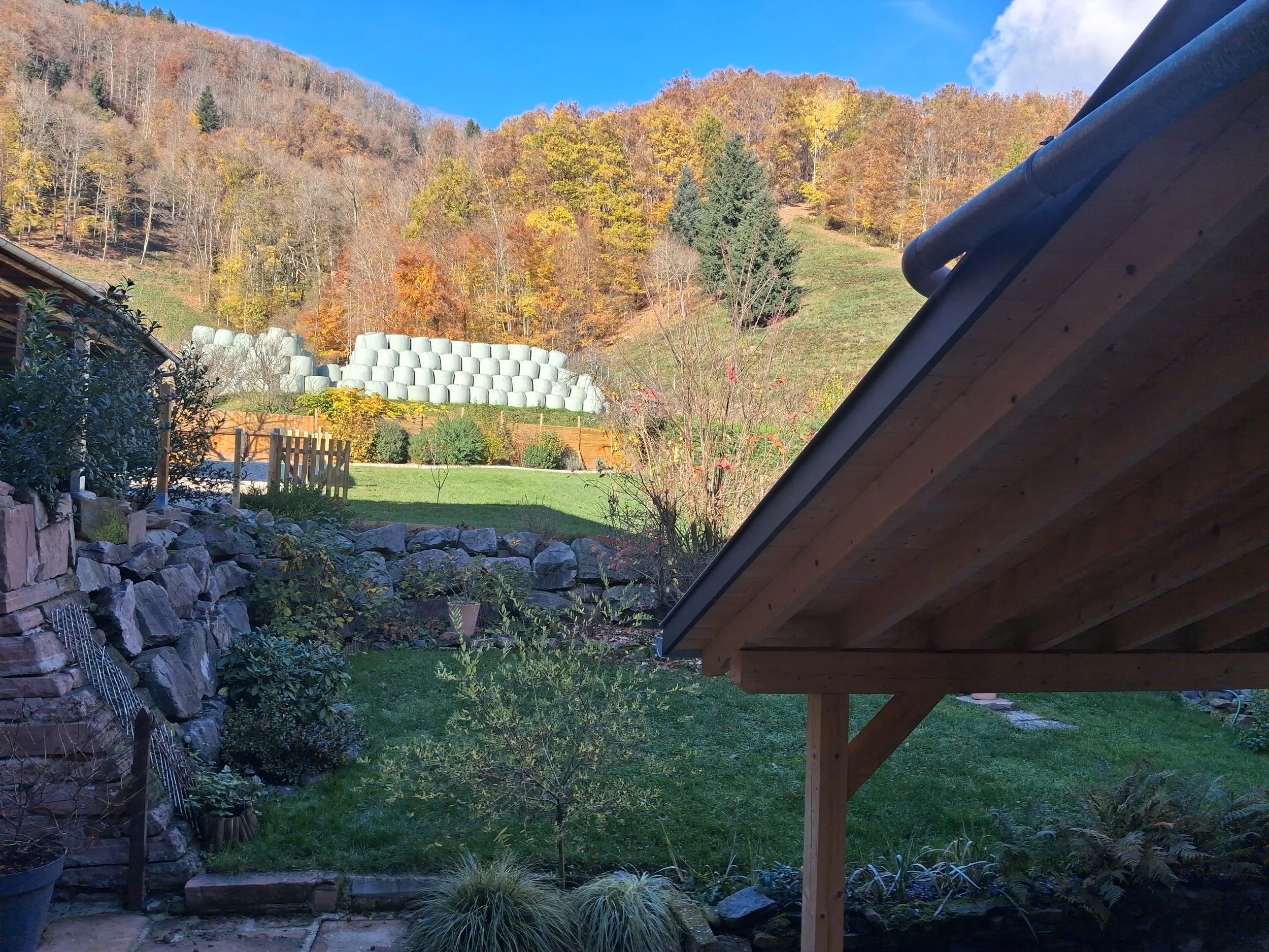 20251108_140526.jpg
