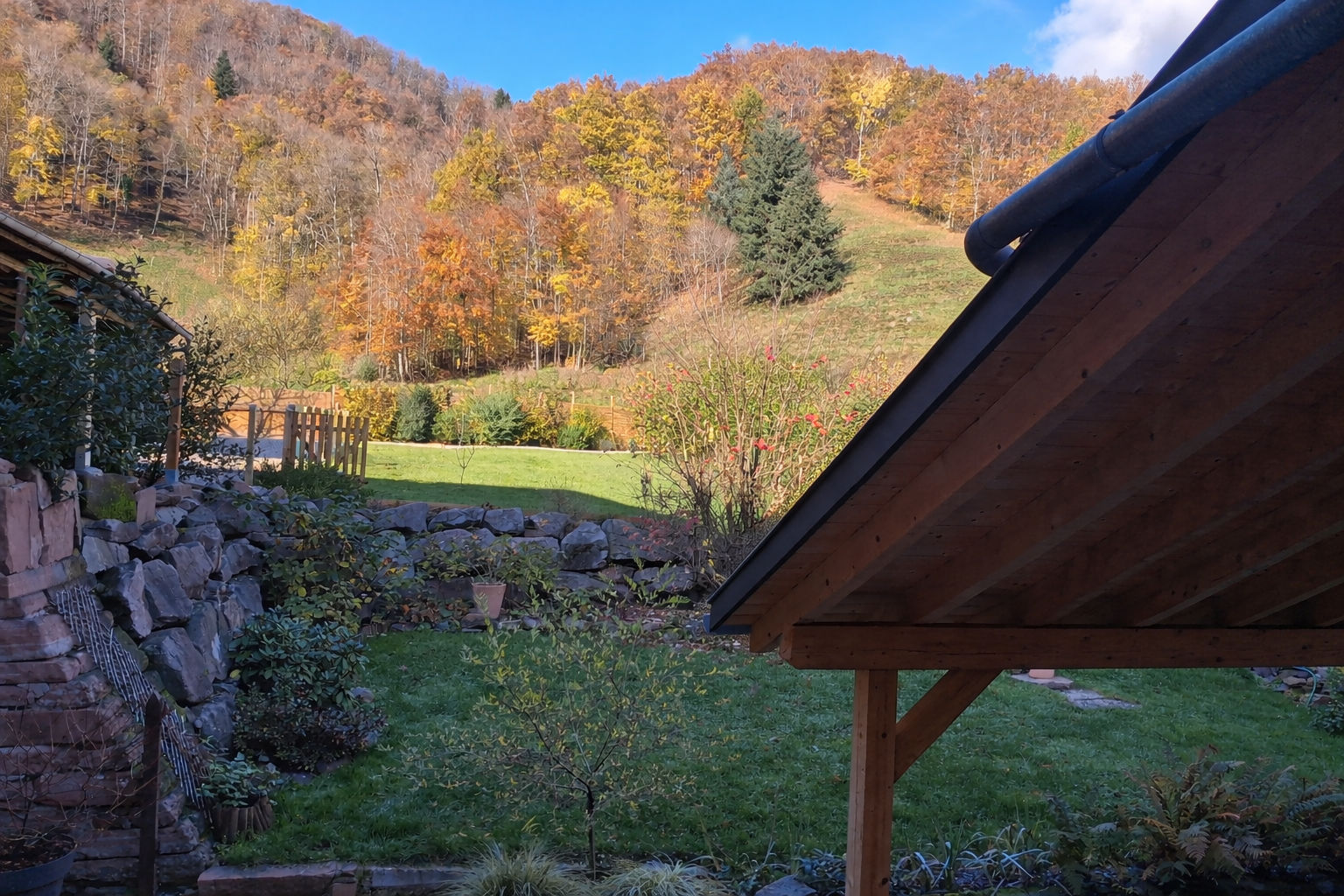 Autumn garden with rustic pergola.png