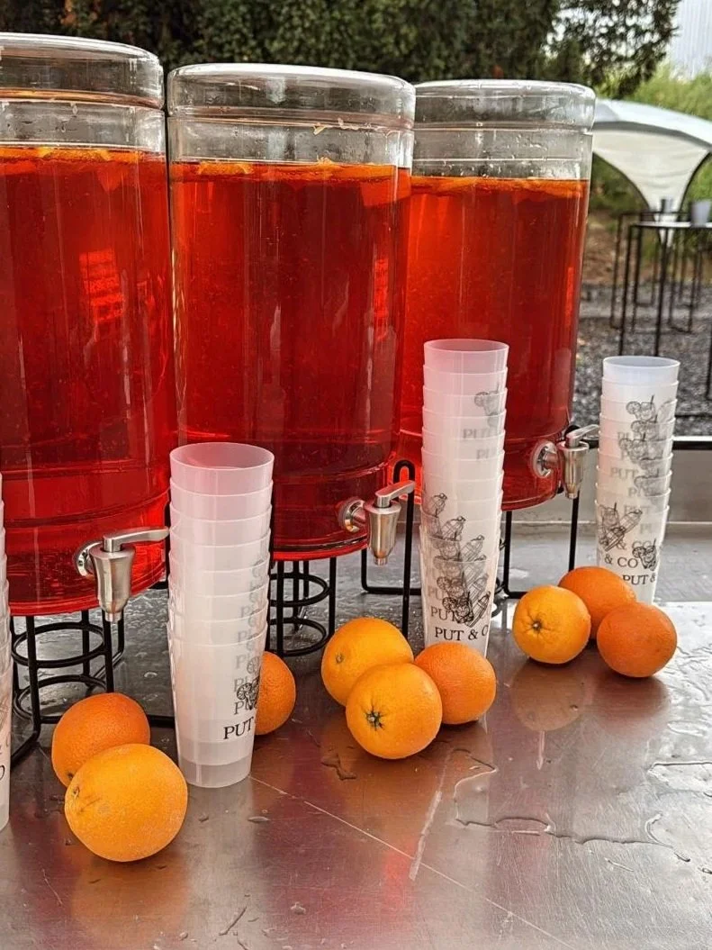 WhatsApp+Image+2026-04-10+at+11.49.44+%283%29.jpg