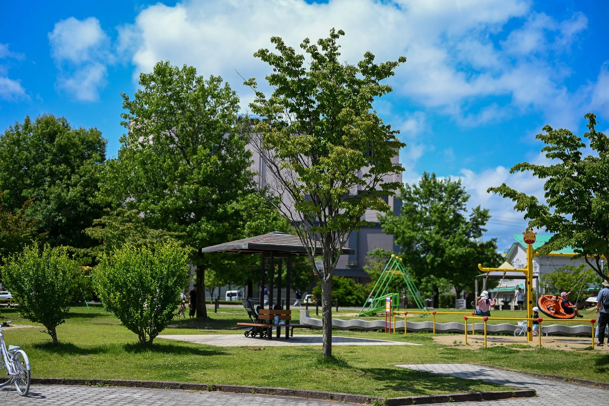 山形県小学生学年別選手権