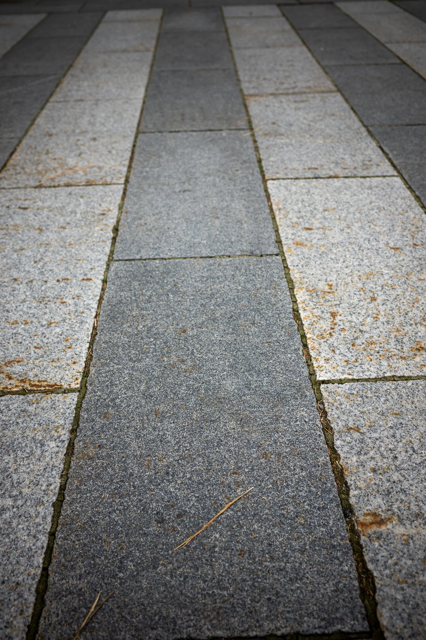 _G000822.jpg