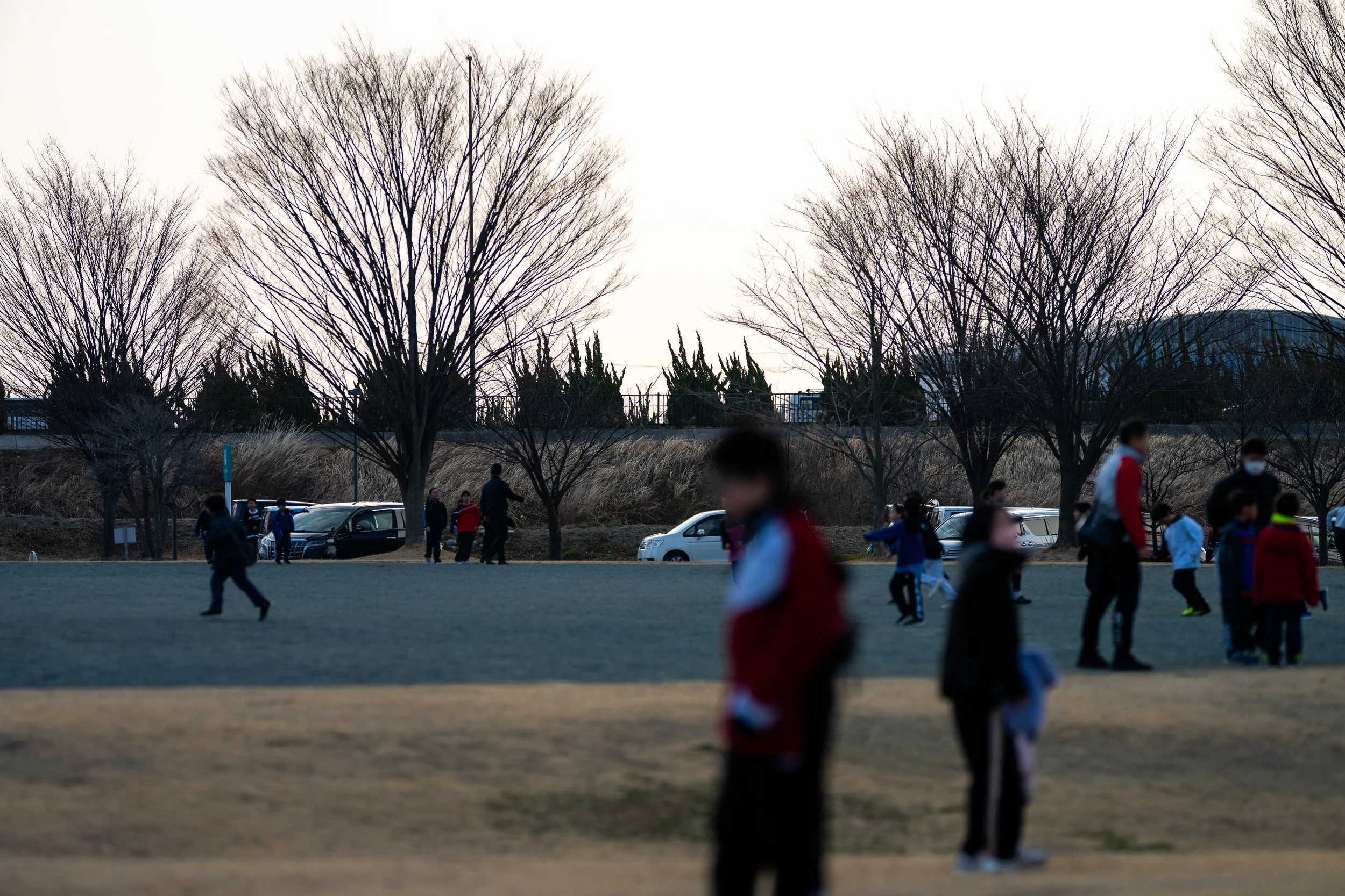 _DSC9195.jpg