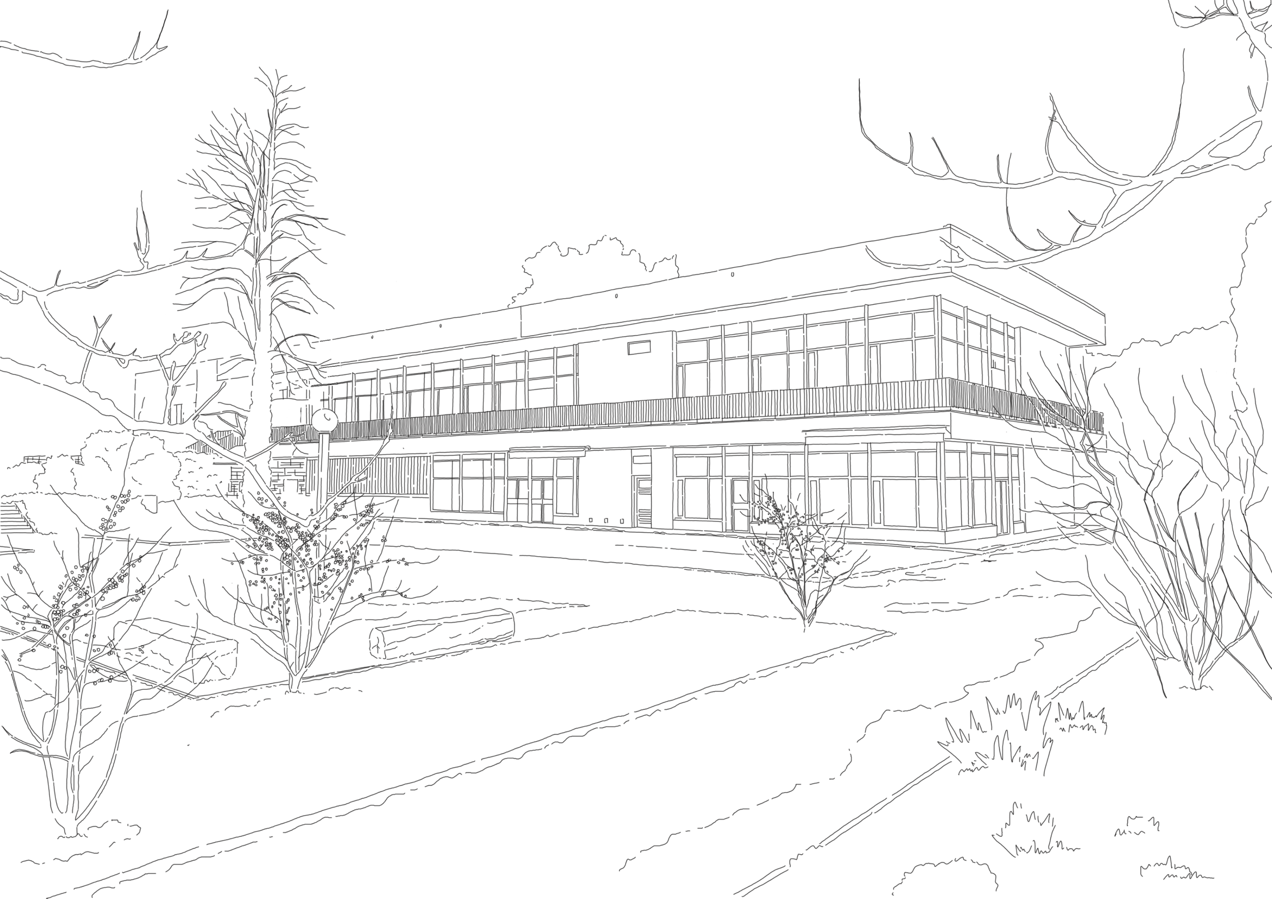 Untitled_Artwork 3.png