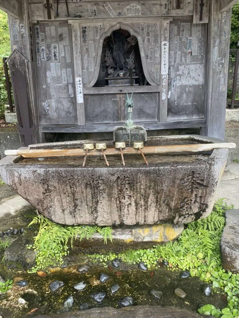 64274FF6-D734-4EAE-9F2F-86FA246082D3_1_105_c.jpeg