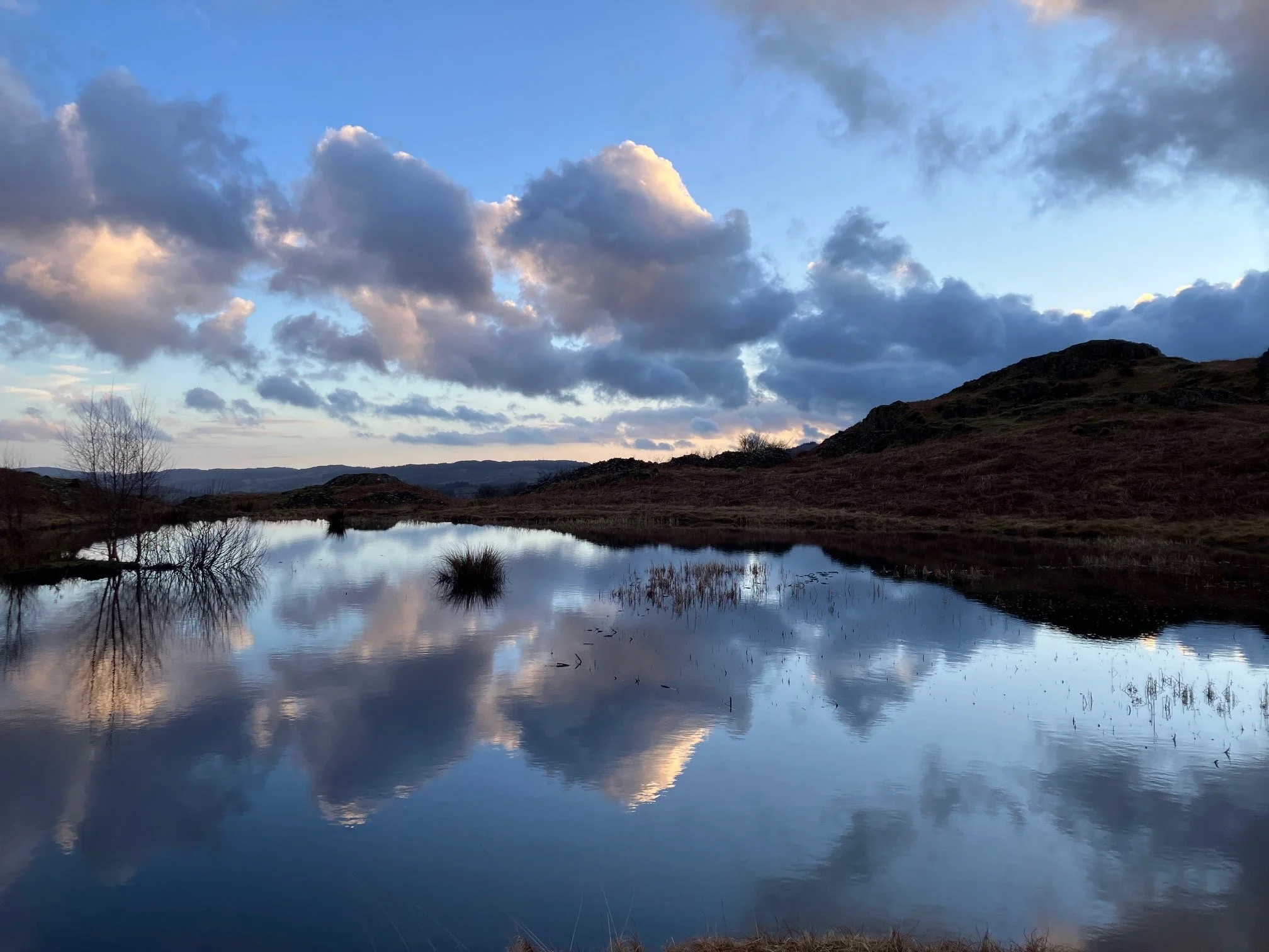 A tranquil landscape showing a calm body of water reflecting the cloudy sky above. In the background, rolling hills with sparse vegetation are visible, accompanied by a few leafless trees on the left side.