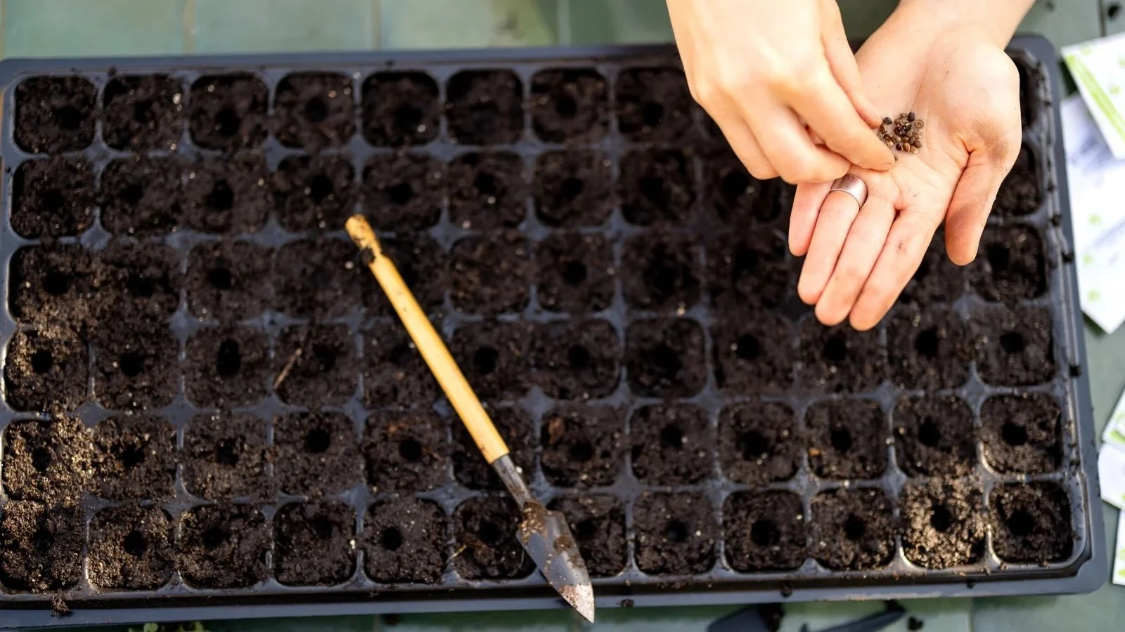 Planting.jpeg