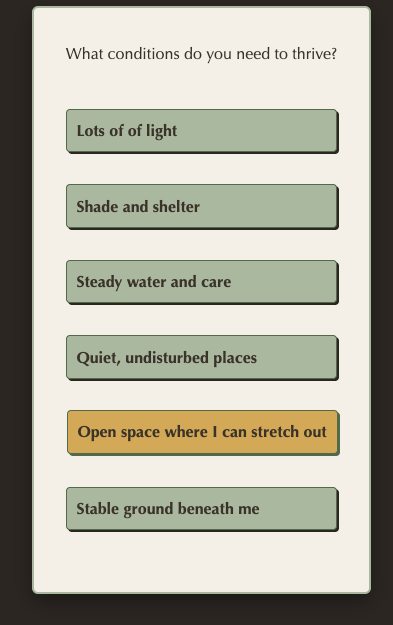 Conditions.png