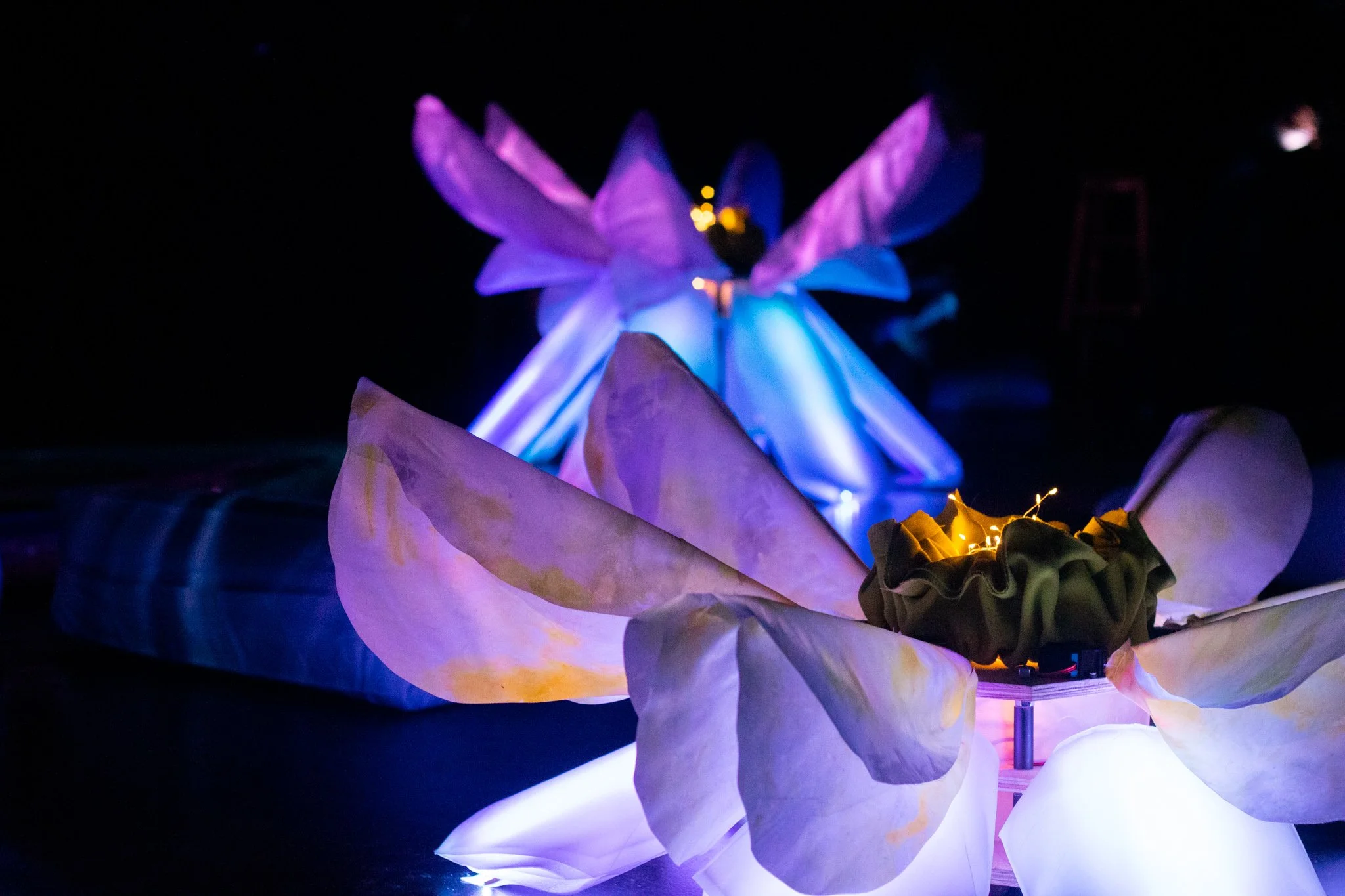 Remixed by Trophy | Photo by Crystal Millions