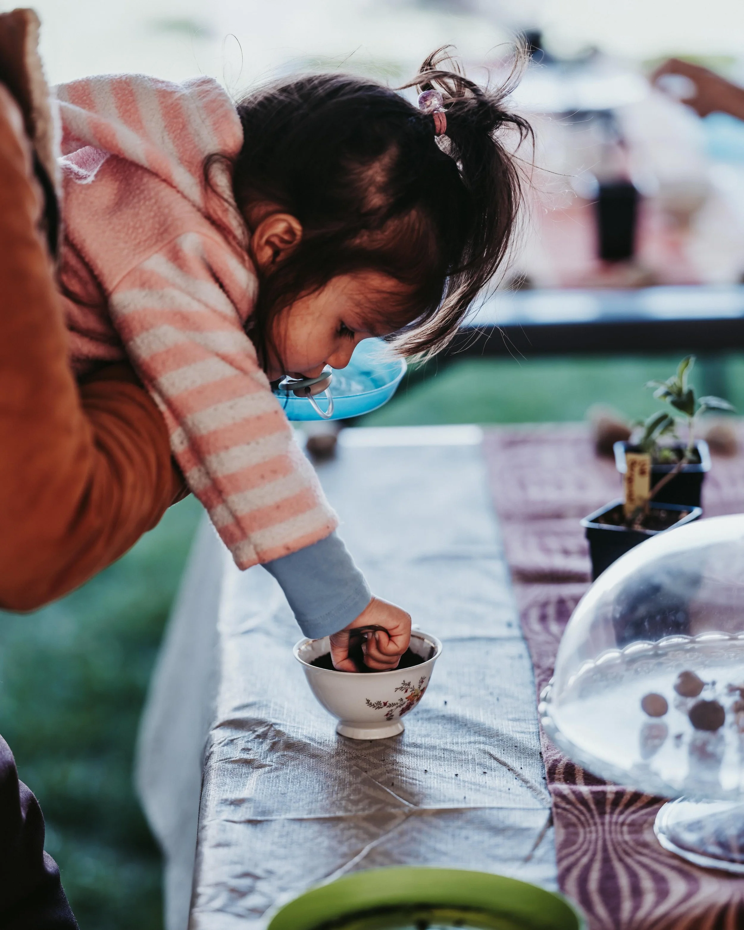 A Meadow is a Neighbourhood at Ottawa Children's Festival | Photo by Curtis Perry
