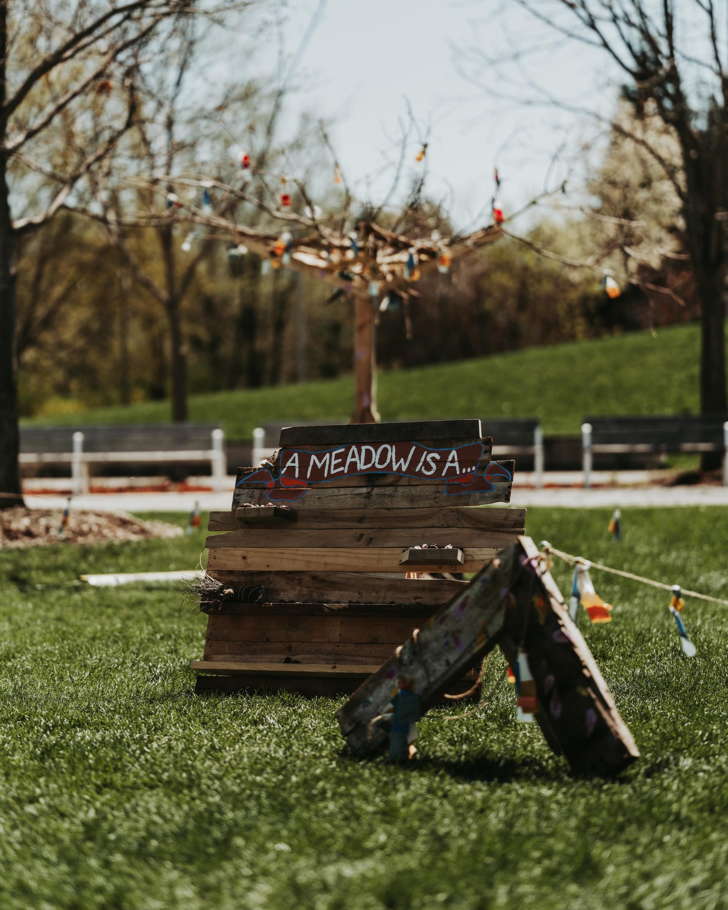 A Meadow is a Neighbourhood at Ottawa Children's Festival | Photo by Curtis Perry
