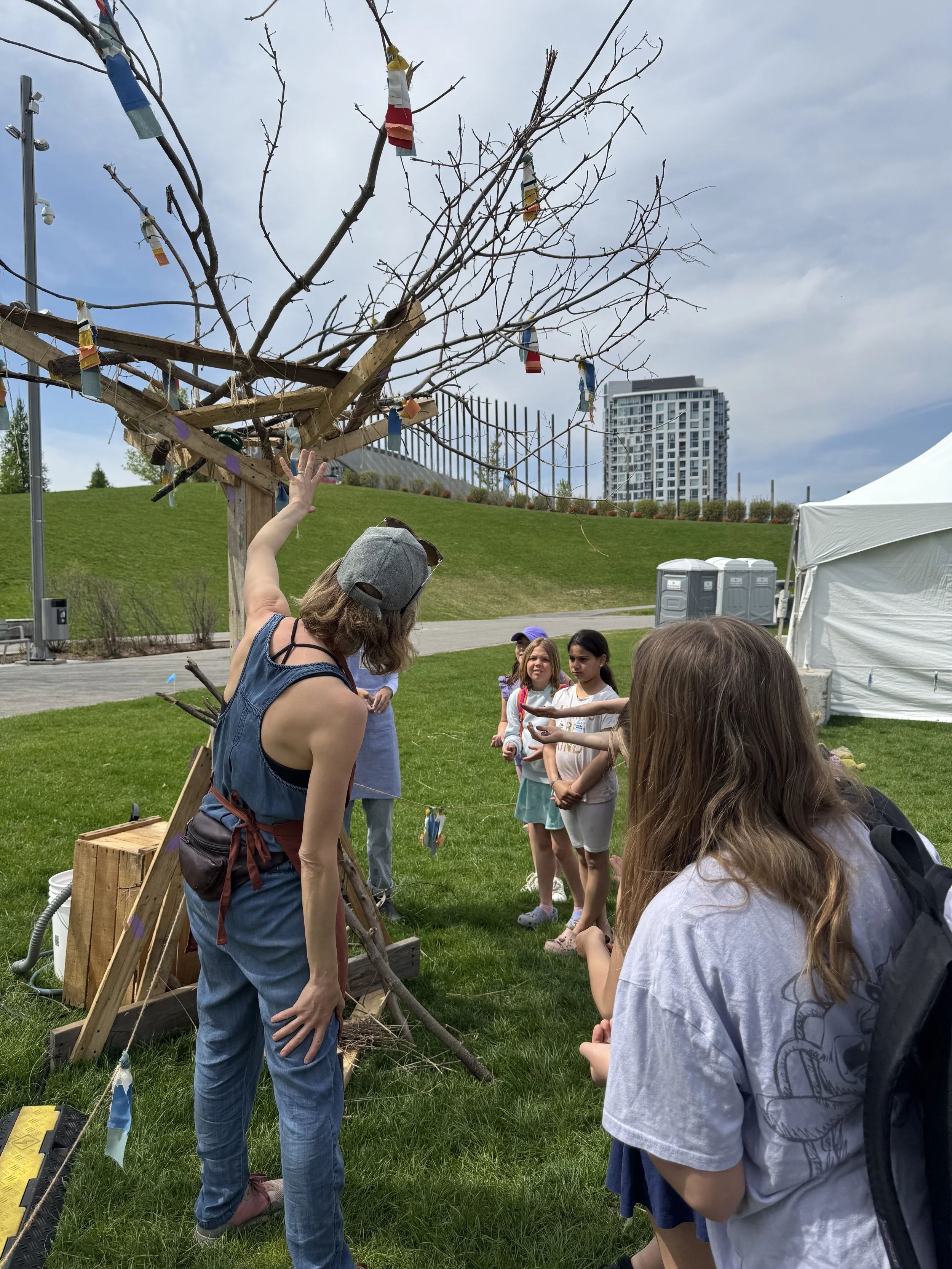A Meadow is a Neighbourhood | Photo Laurel Green