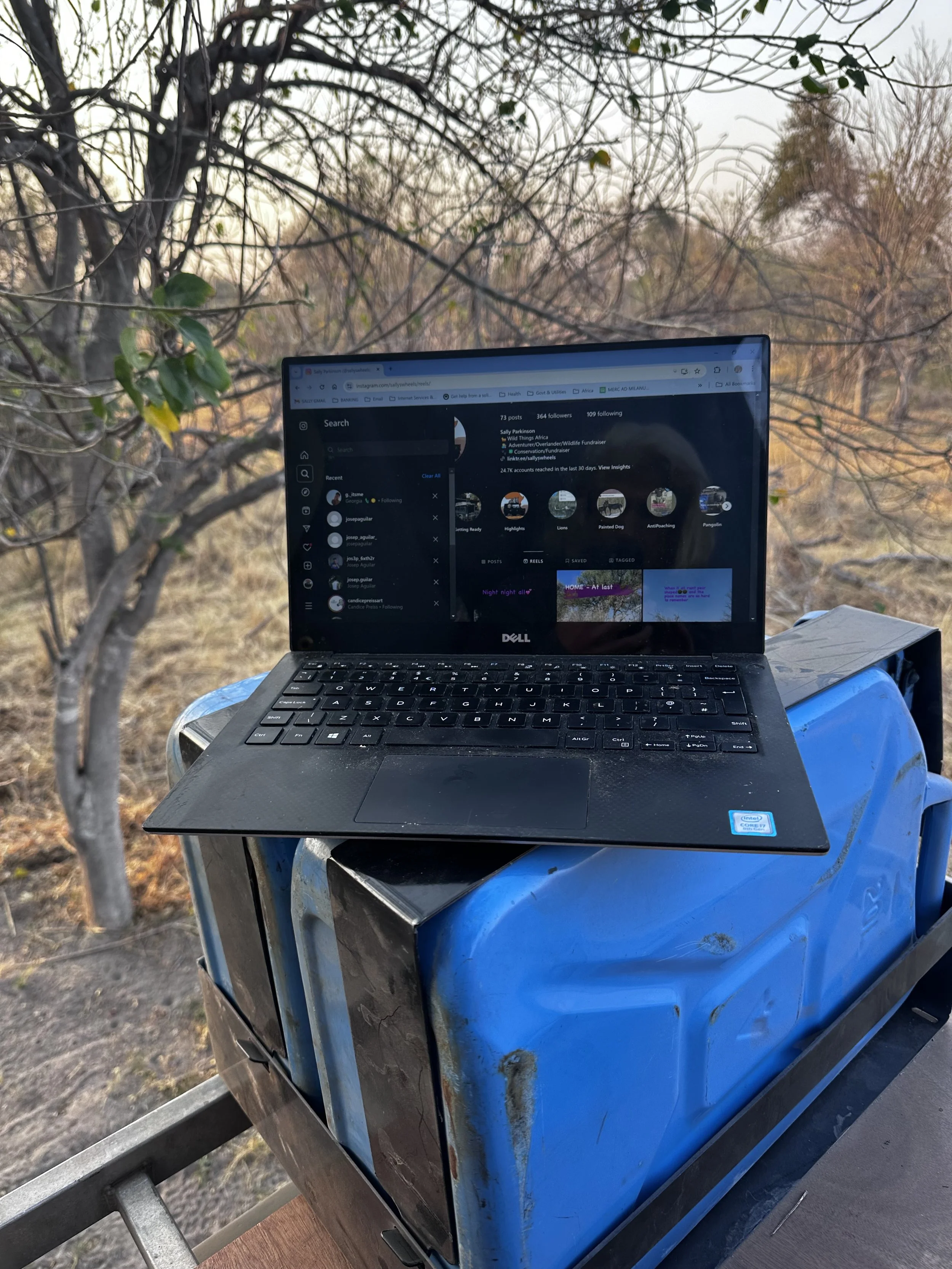 A Dell laptop placed on top of a blue metal container outdoors, with a tree and leafless branches in the background.