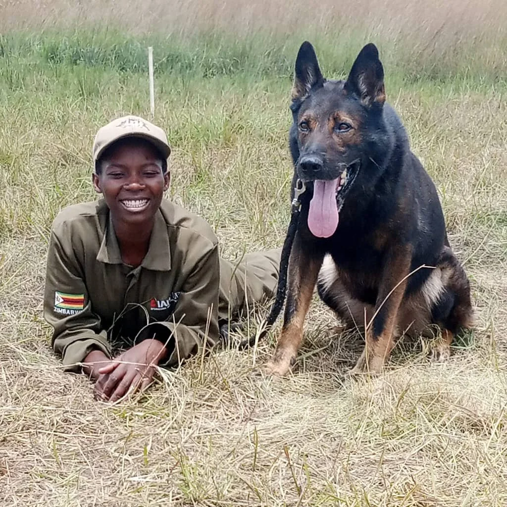A young boy lying in dry grass next to a large German Shepherd dog. The boy is smiling and wearing a tan uniform and cap with a Zimbabwe flag patch on the sleeve. The dog has its tongue out and is looking happy.