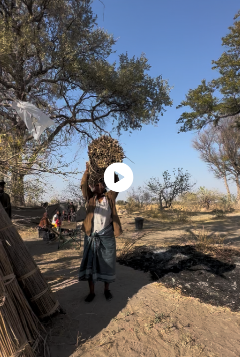 A person carrying a large bundle of firewood on their head outdoors, with dry trees and a clear blue sky in the background.