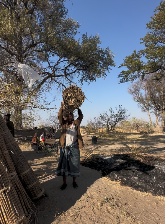 A woman outdoors carrying a large bundle of sticks or firewood on her head, with trees and a small group of people in the background.