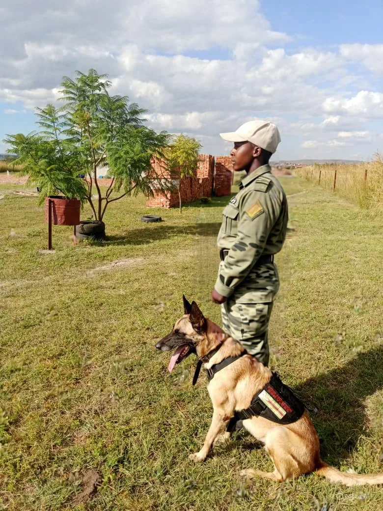 A person in military uniform standing outdoors with a tactical working dog on a grassy field, trees, and a brick wall in the background under a partly cloudy sky.