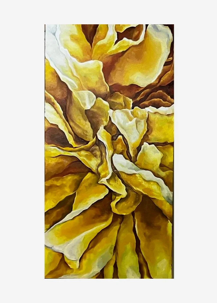 Yellow Rose, oil paint on canvas, 50 x 100cm, 2023
