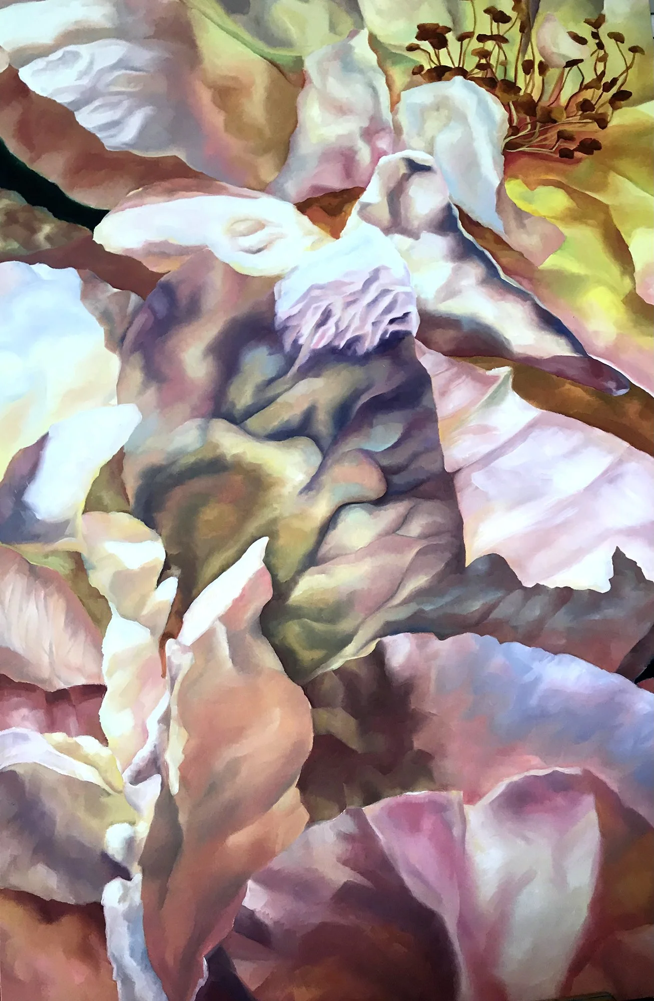 Large Pink Flower, oil paint on canvas, 100 x 150cm, 2020