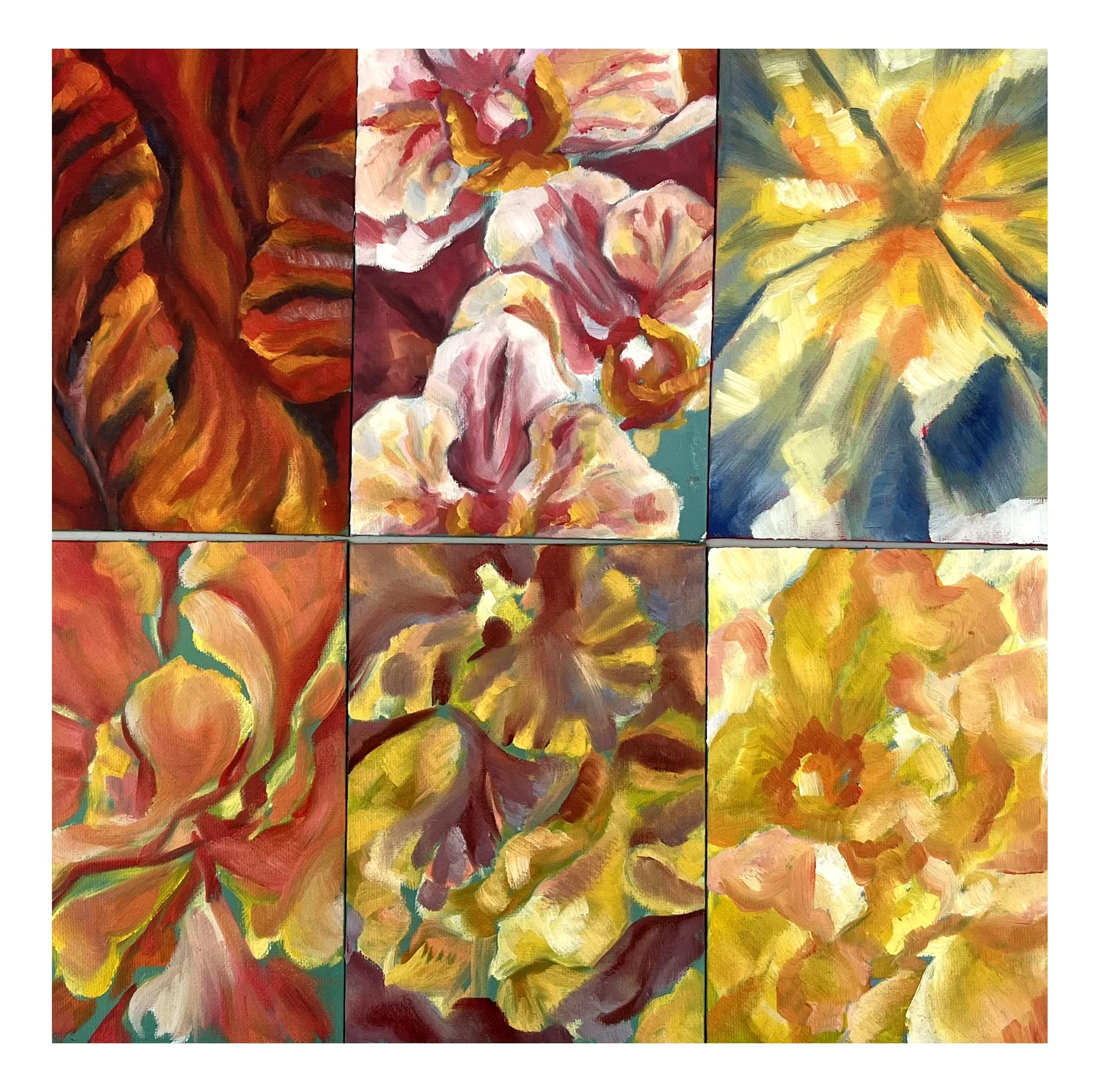 Floral Studies, oil paint on canvas, 12 x 15cm, 2025
