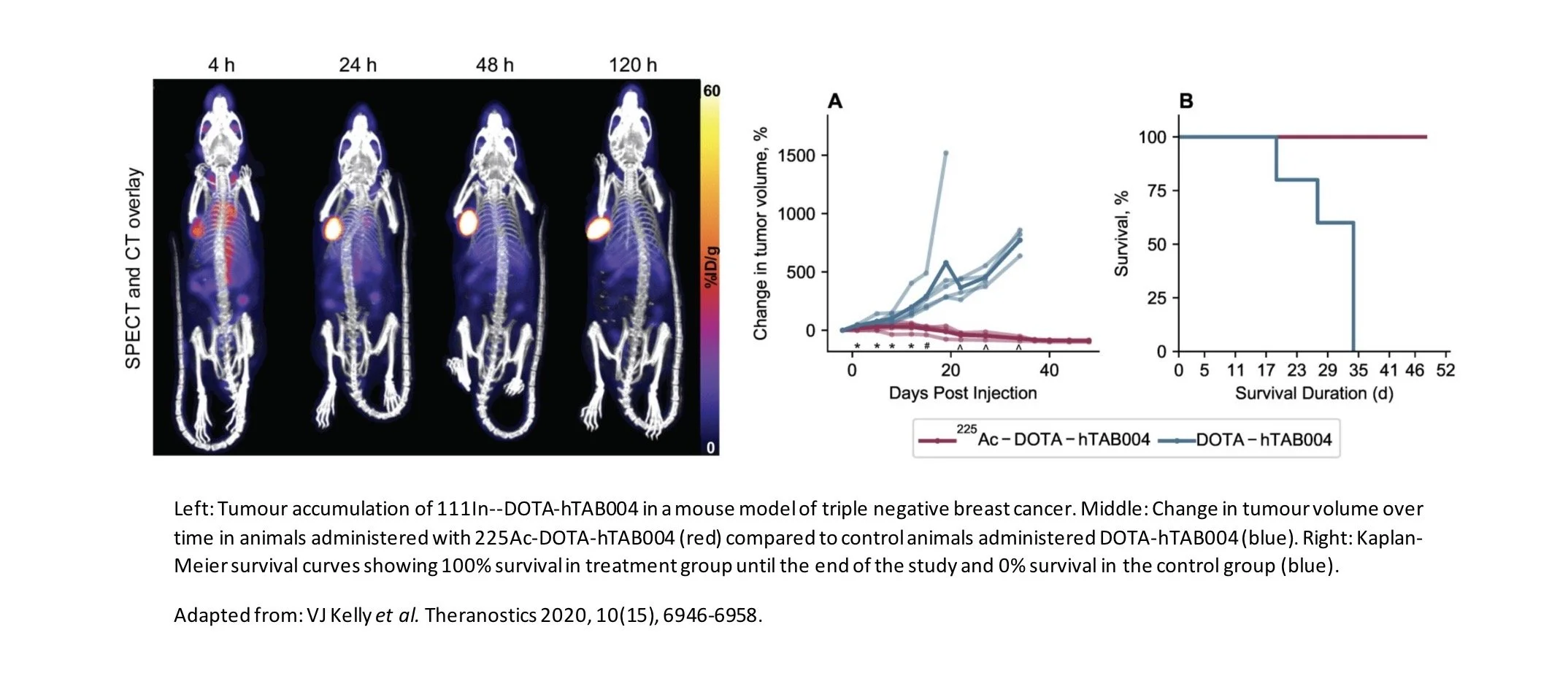 A scientific poster showing tumor accumulation in mice, changes in tumor volume over time, and survival curves related to a breast cancer model in mice treated with DOTA-hTAB004.