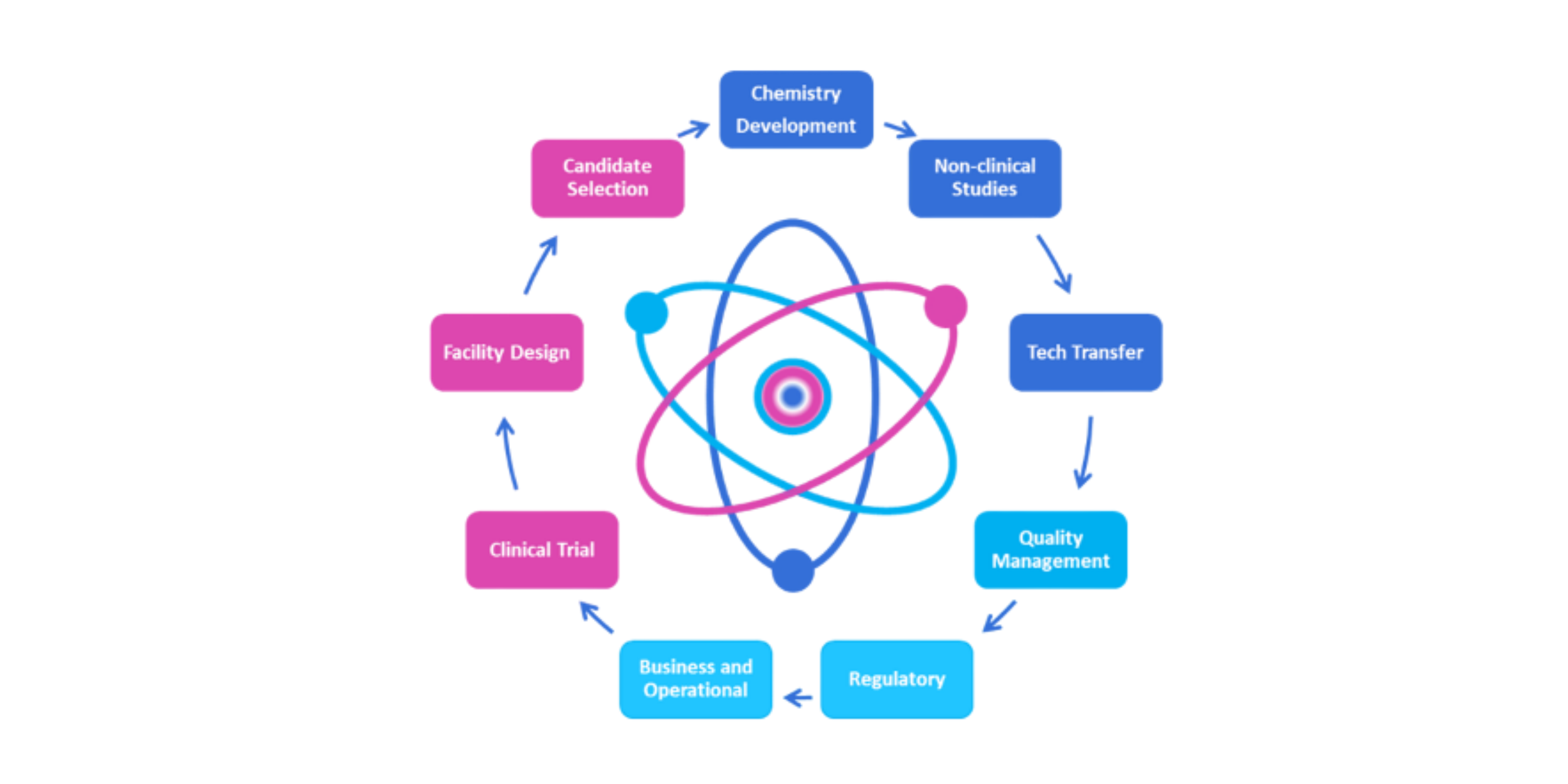 A circular diagram with interconnected blocks of text representing process steps: Candidate Selection, Chemistry Development, Non-clinical Studies, Tech Transfer, Quality Management, Regulatory, Business and Operational, Clinical Trial, Facility Design, and a central atomic model illustration.