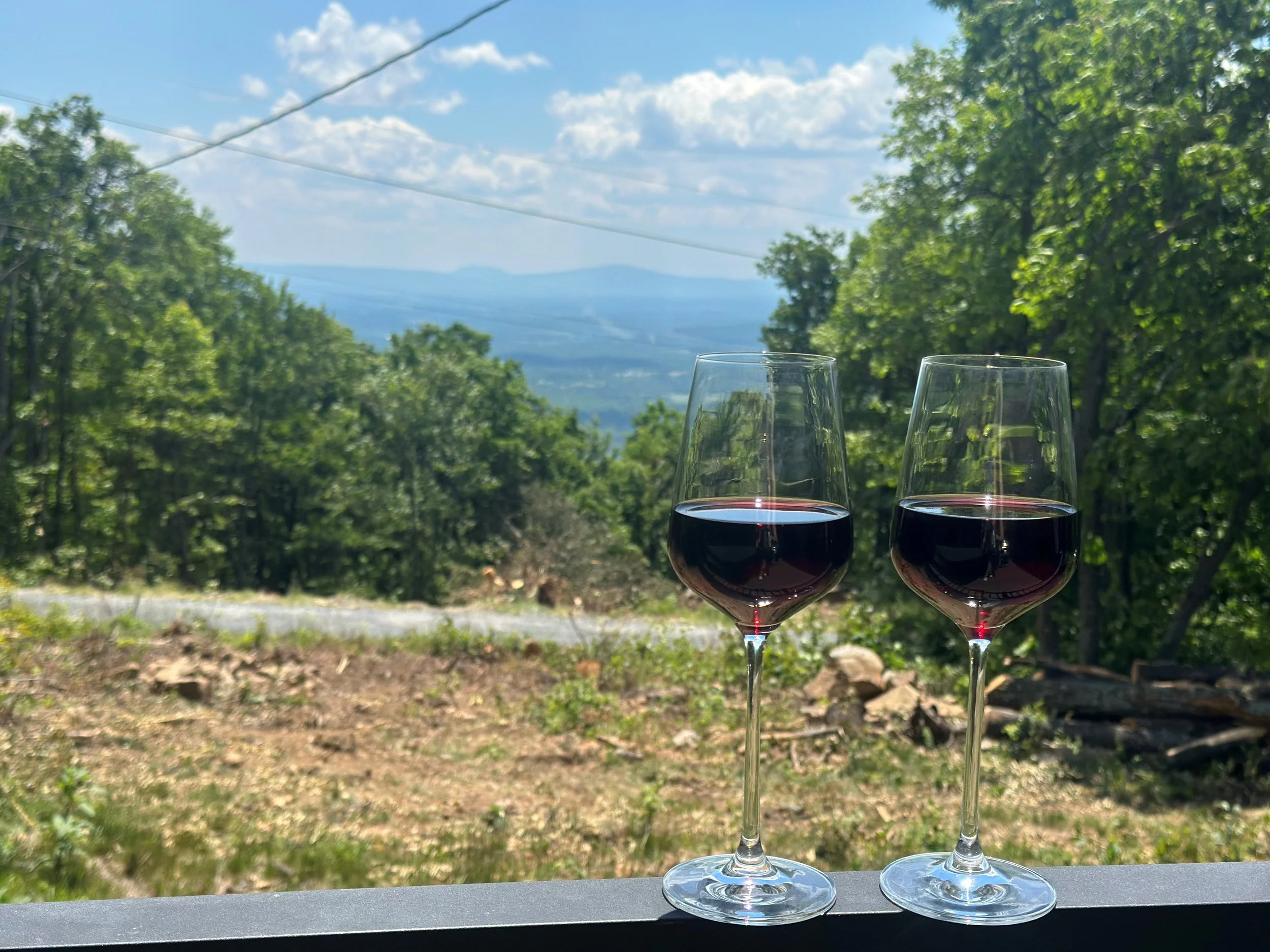 view.jpg