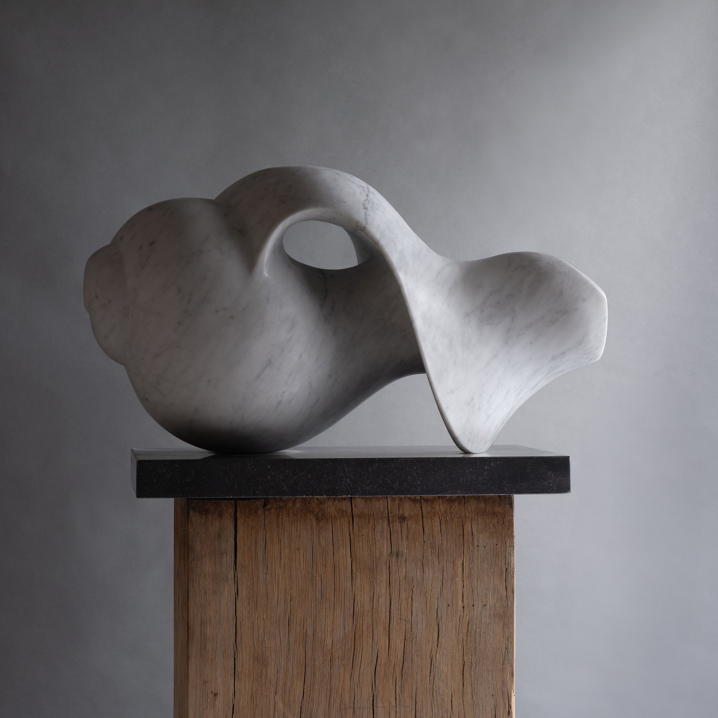 A modern abstract sculpture of a sea shell, made of smooth white carrara marble, sitting on a black base atop a wooden plinth, against a plain grey background.