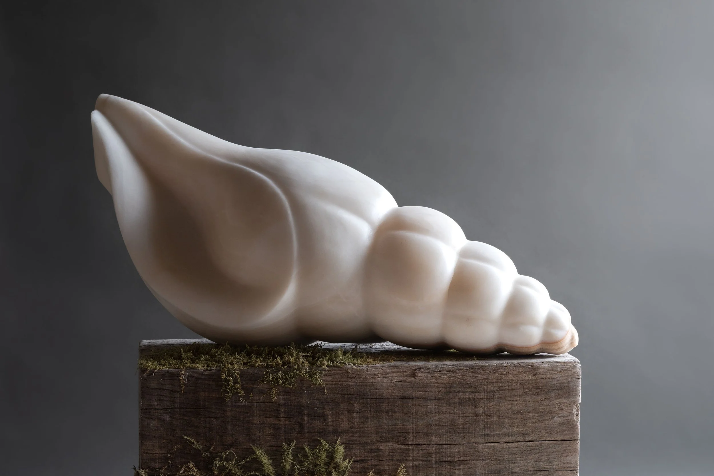 A large seashell sculpture made of onyx resting on a wooden surface with moss, against a gray background.