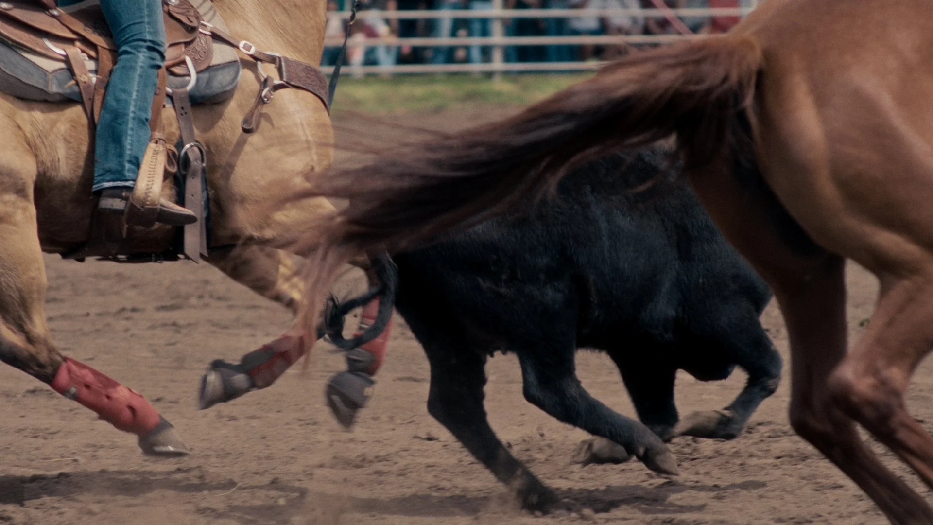 2024 Graded Clips_01_02_31_14.jpg