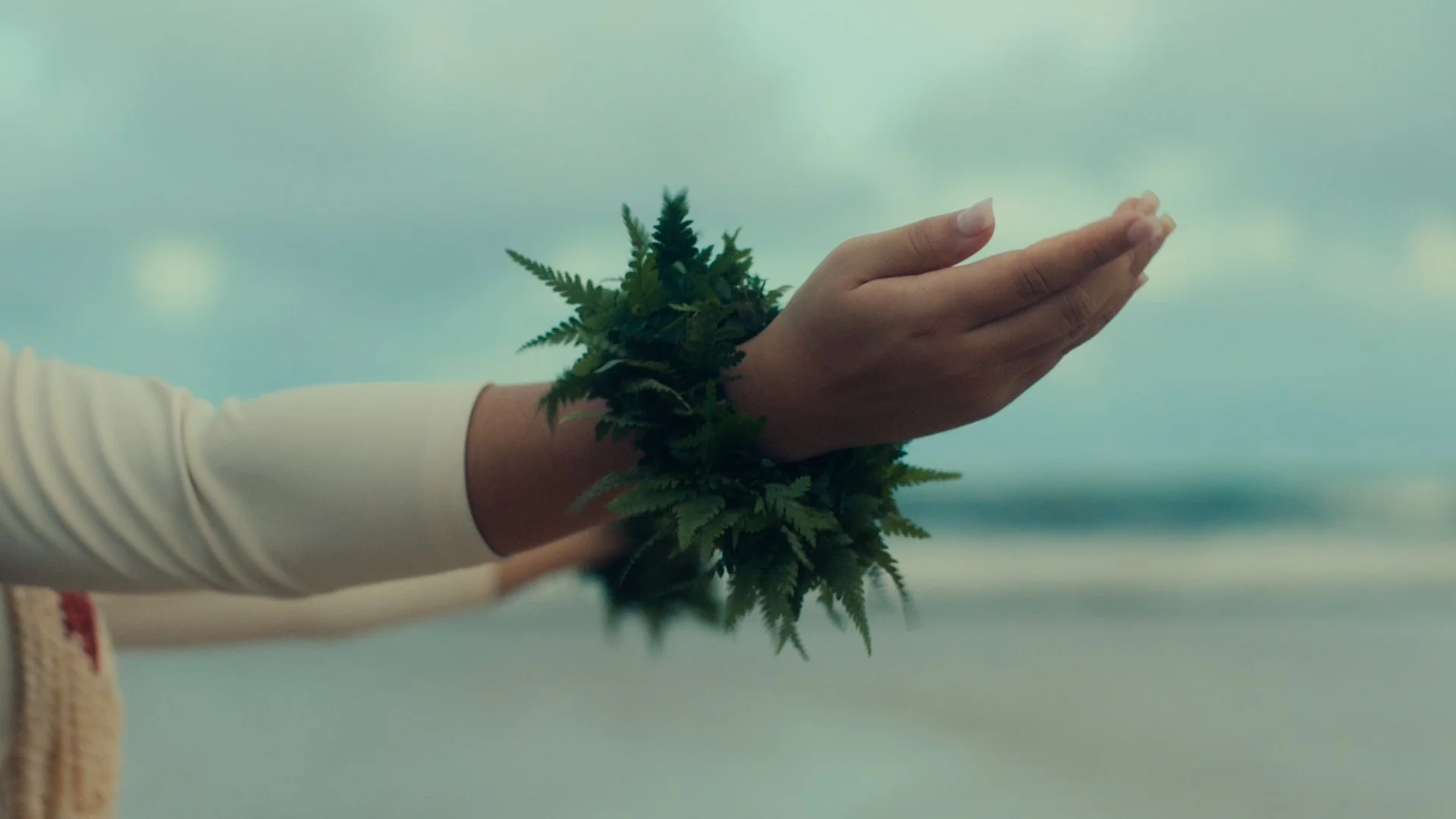 Hula Graded Clips_01_05_59_14.jpg