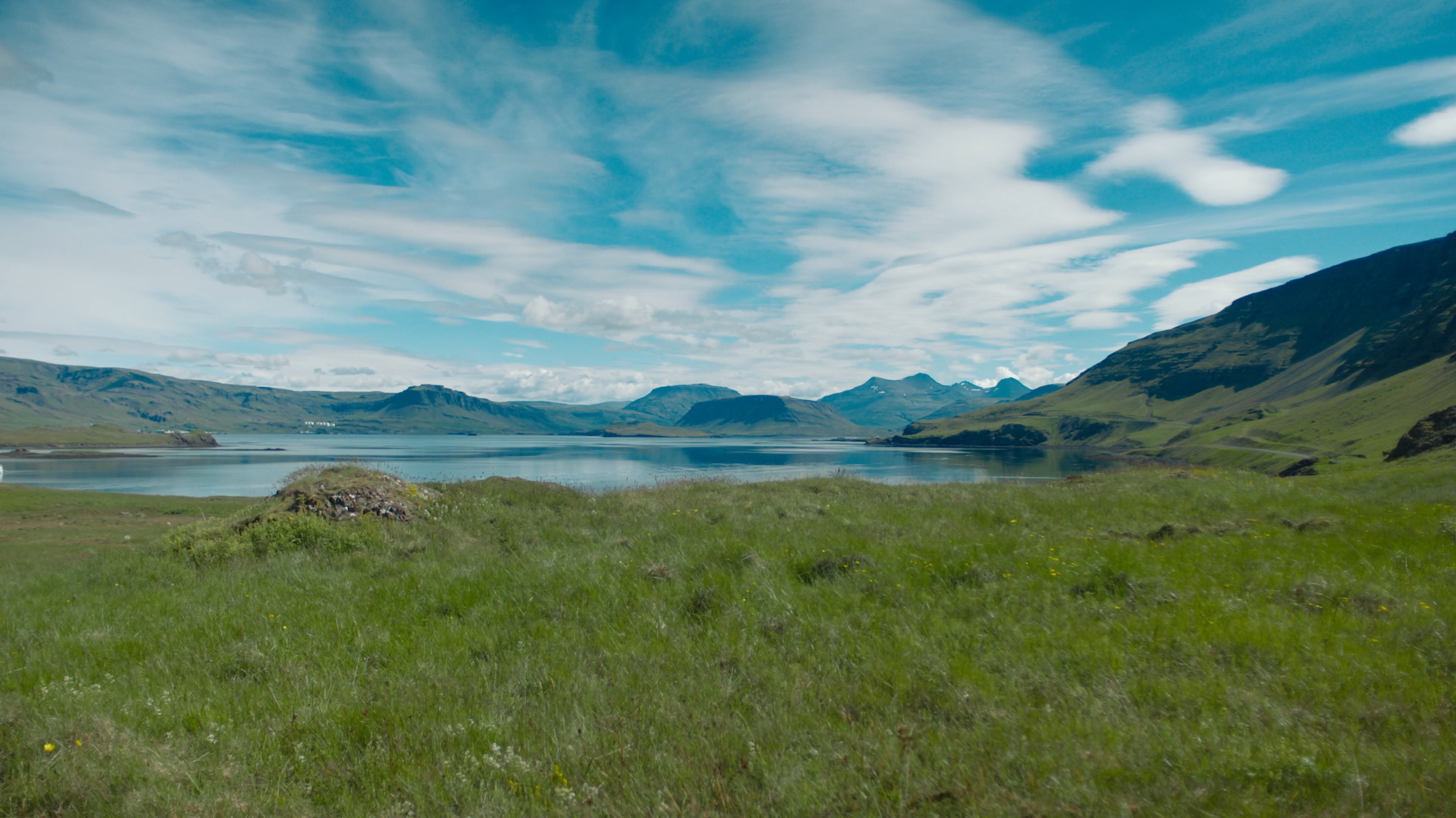Image 7.PNG