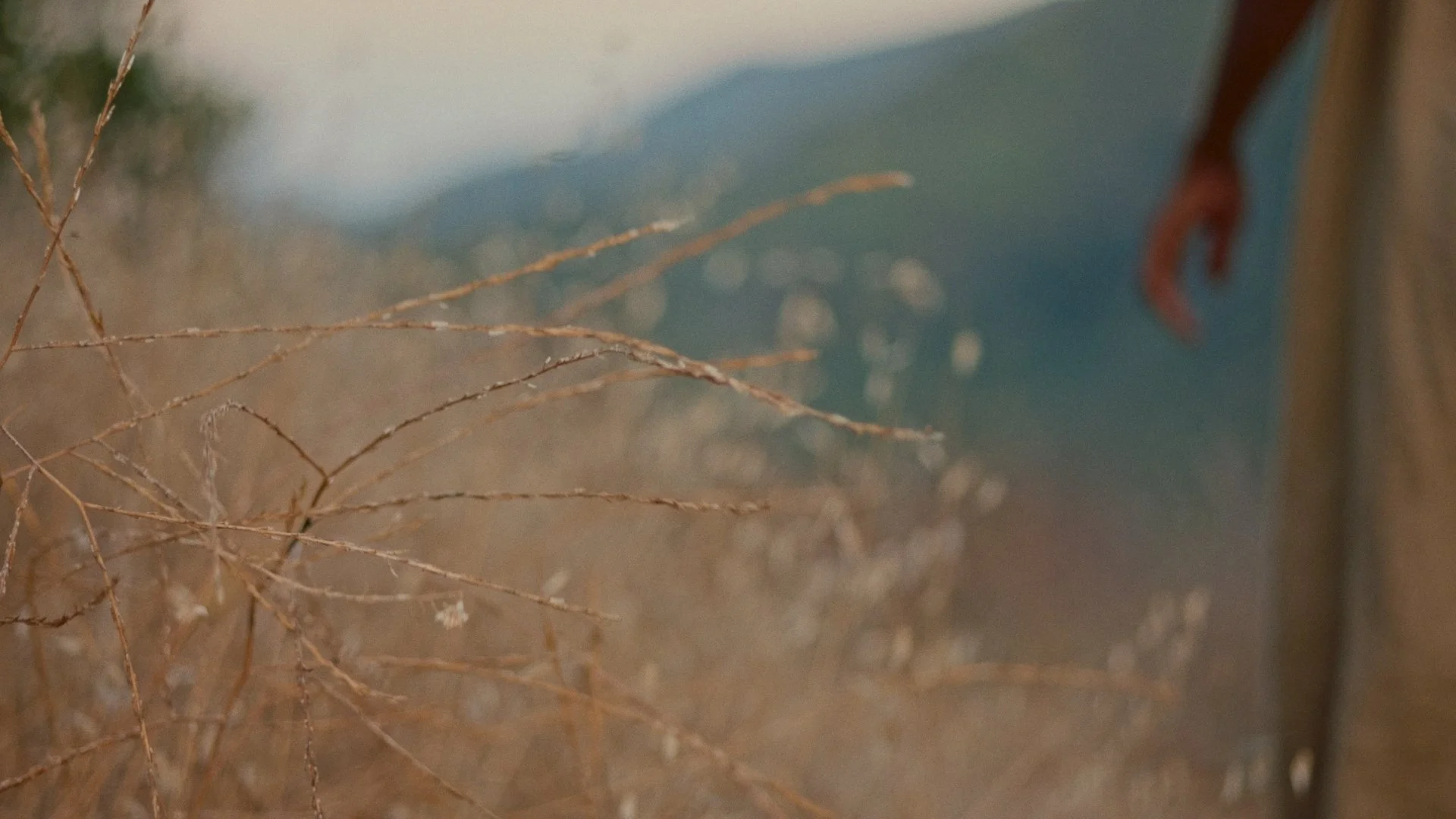HER for REEL_01_02_26_16.jpg