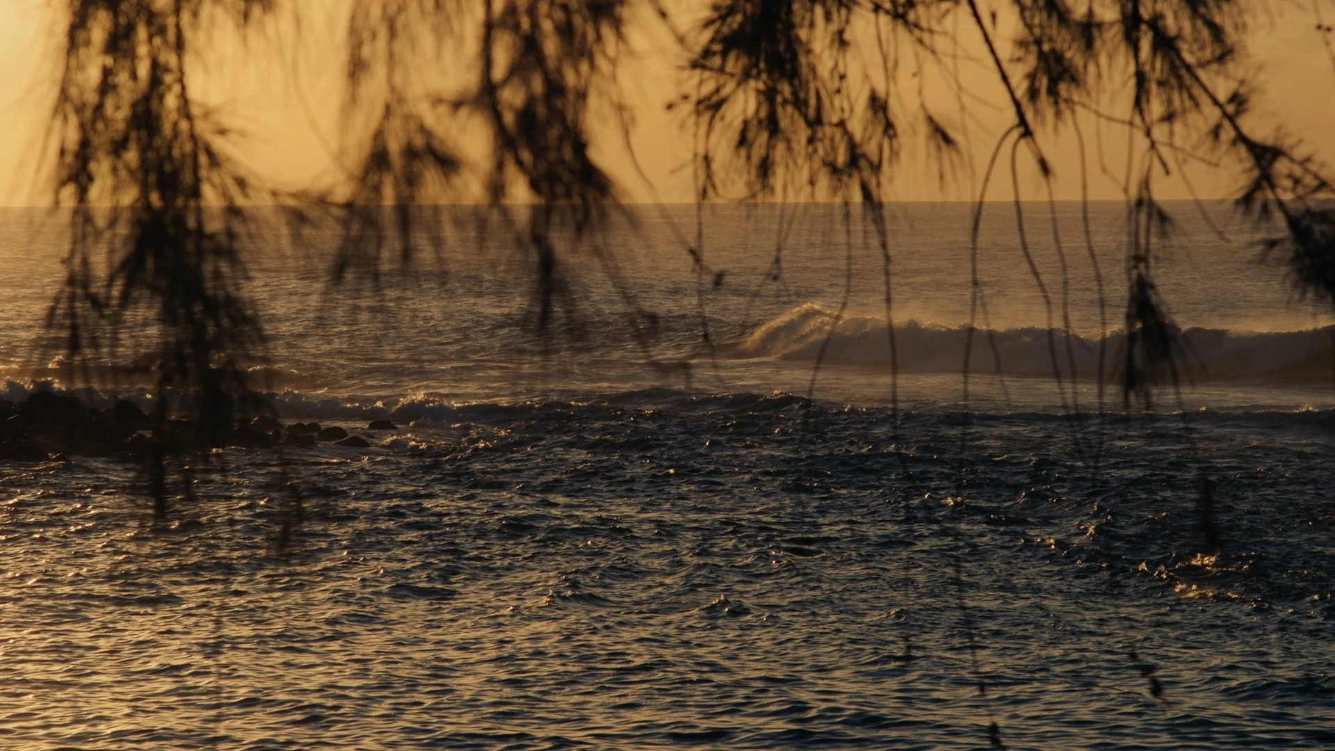 Hula Graded Clips_01_08_06_00.jpg