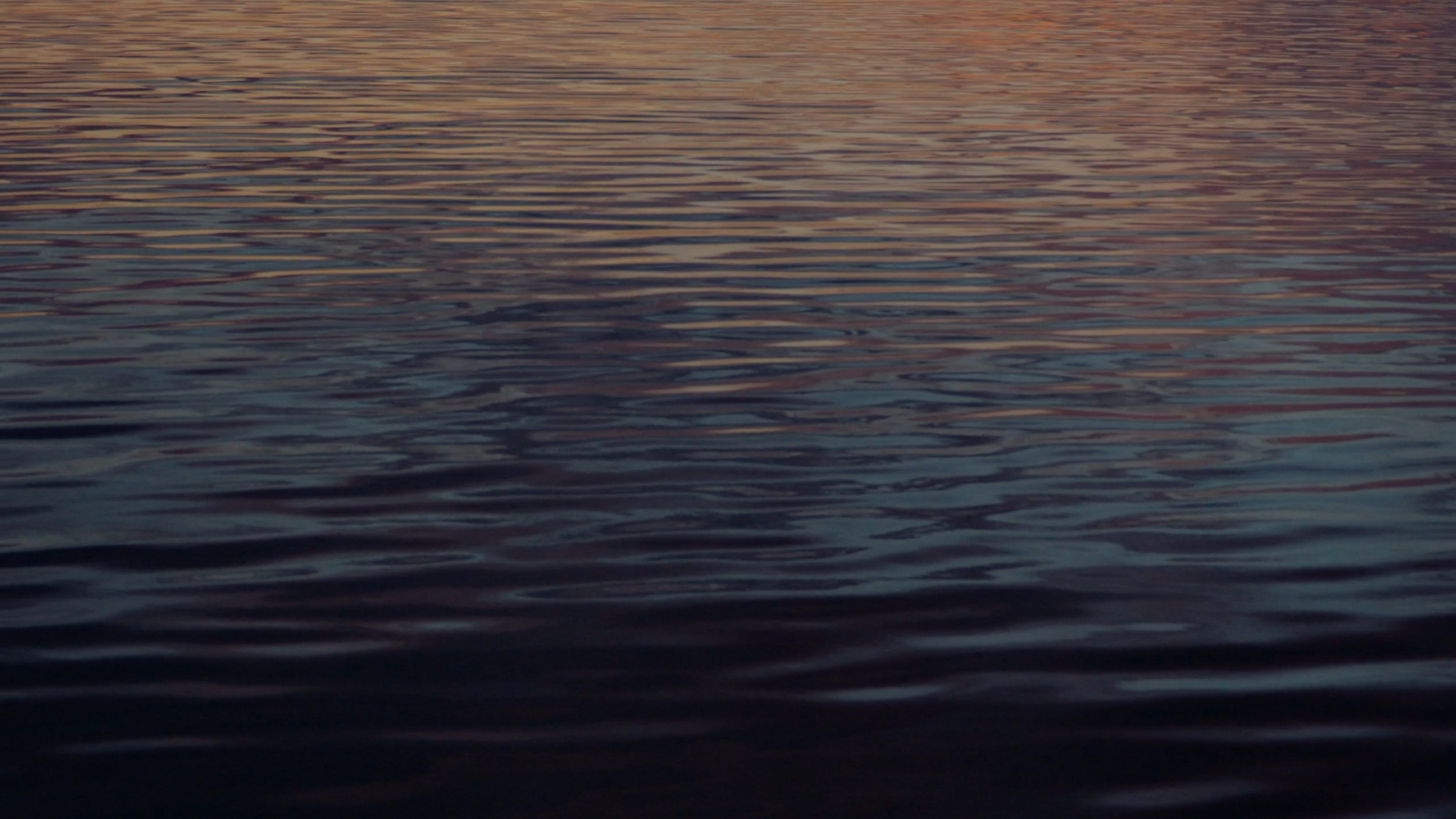 Image 19.PNG
