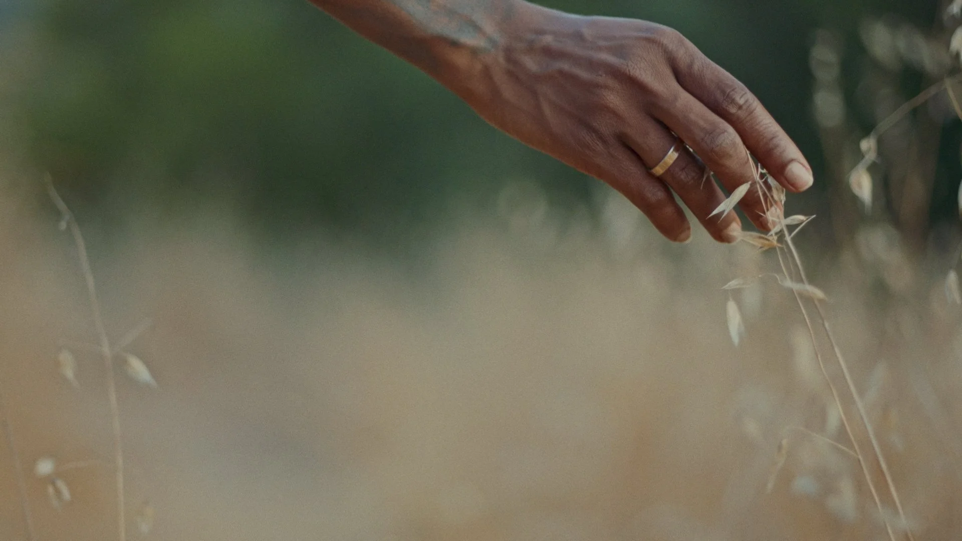 HER for REEL_01_02_14_18.jpg