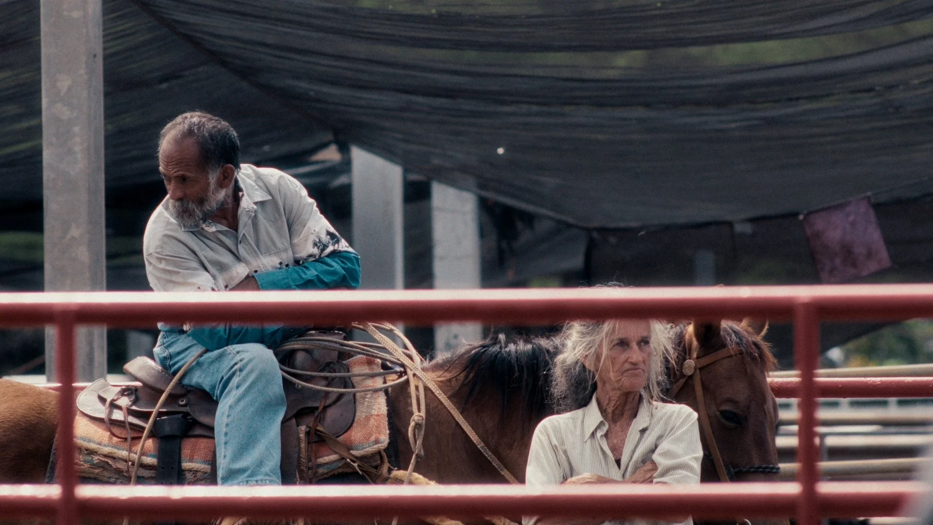 2024 Graded Clips_01_01_18_03.jpg