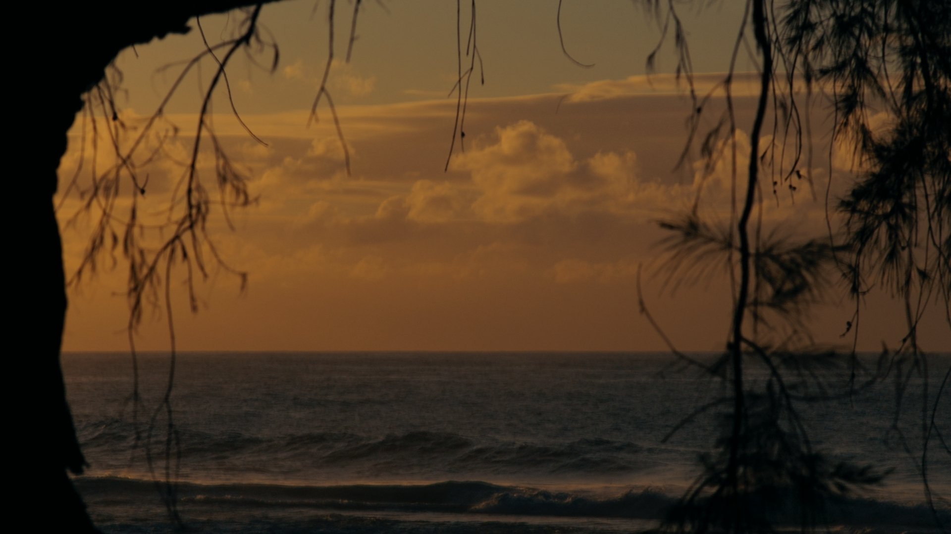 Hula Graded Clips_01_08_22_05.jpg