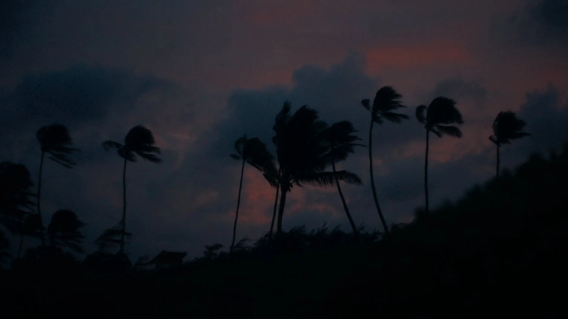 Hula Graded Clips_01_06_17_22.jpg