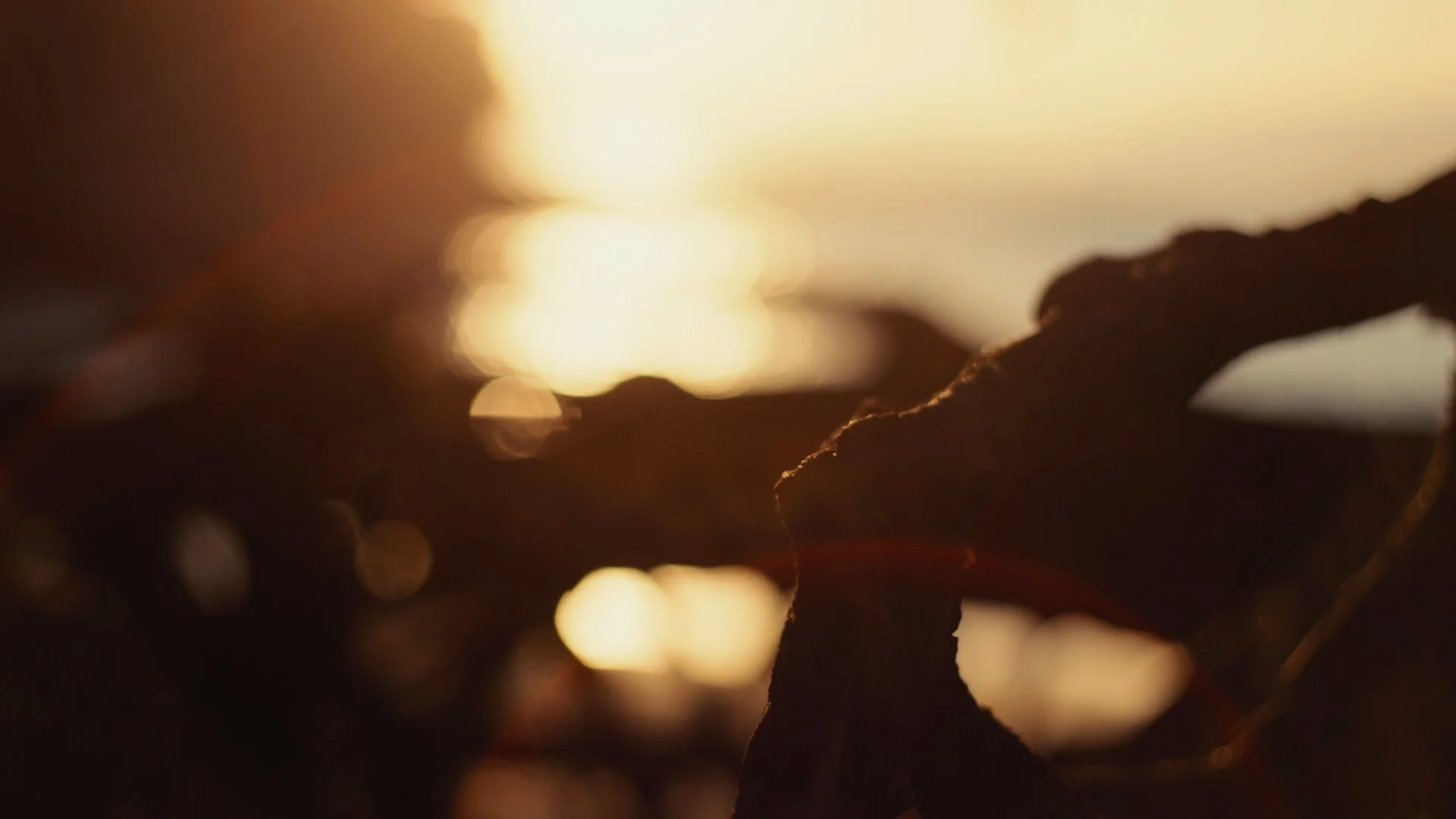 Hula Graded Clips_01_07_49_19.jpg