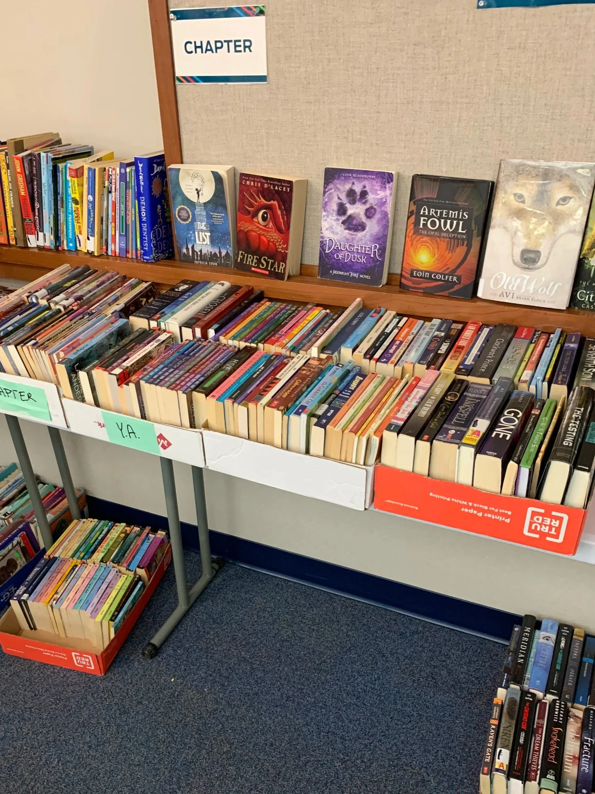Aud+Sale+Kids+chapter+books.jpg