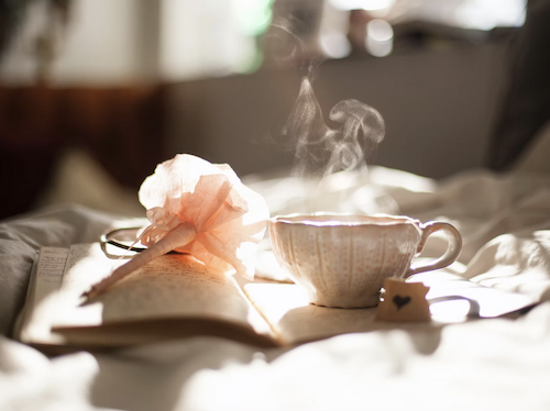 Apple Fritters and Ginseng Tea
