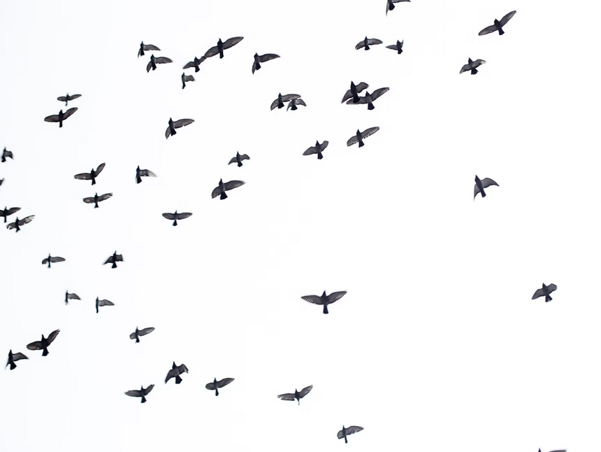 when it became poetic