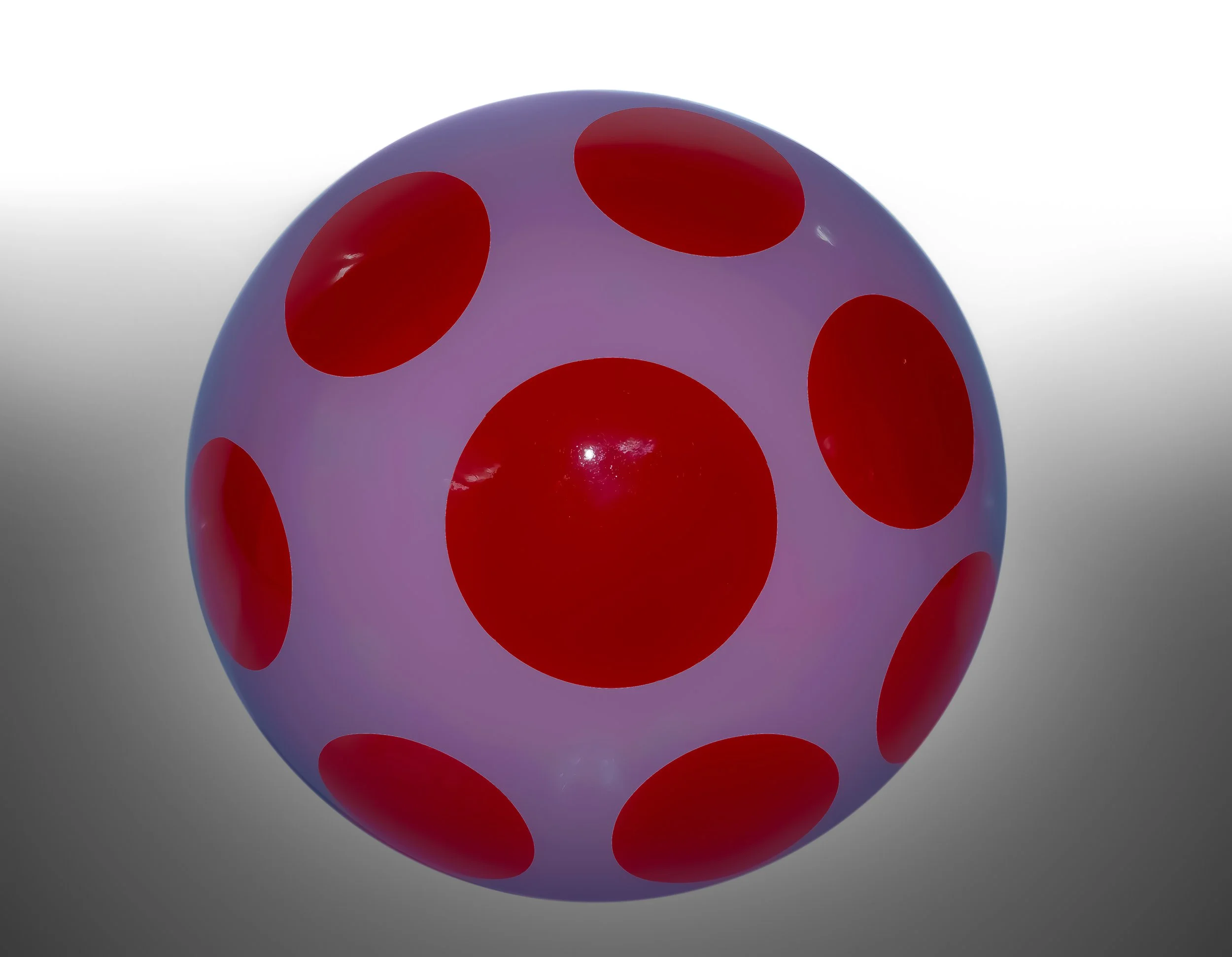 Shiitake Sprouts : Miniature Magic Unveiled