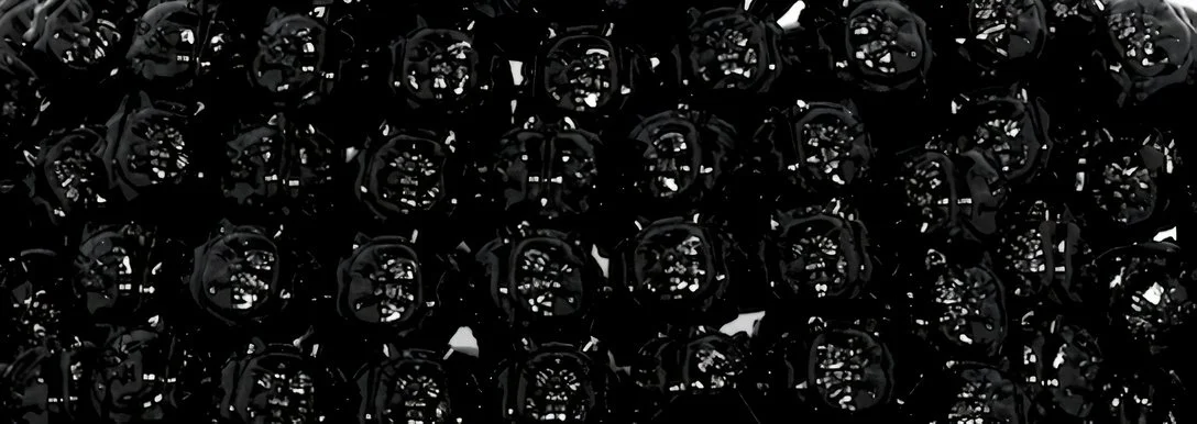 Ebony Sumonmyoji’s Resonance: A Harmonious Ode to Onmyōdō’s Enigmatic Dance of Dualities