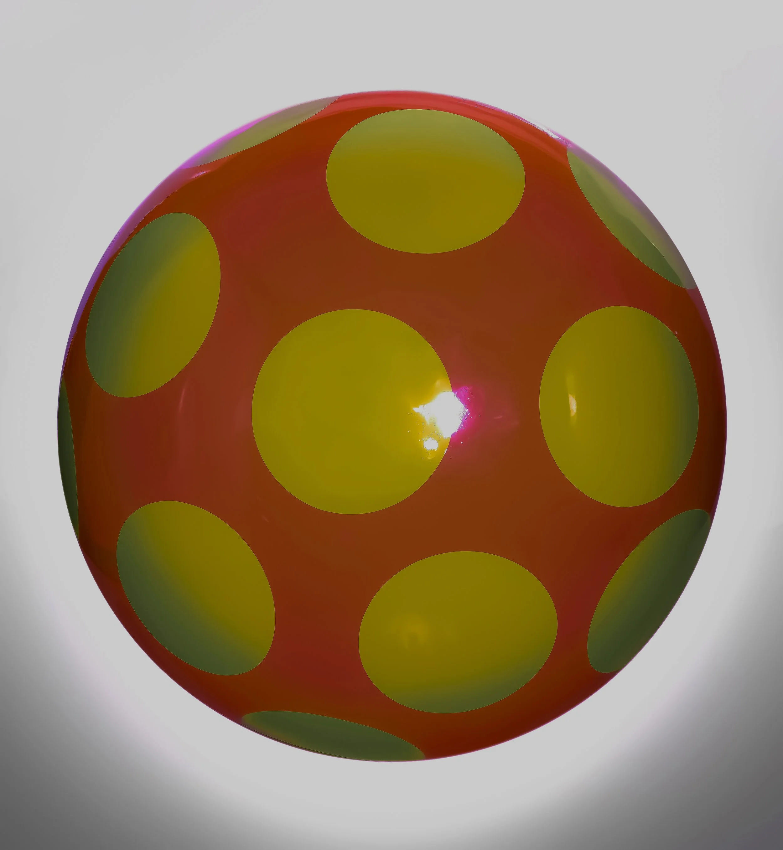 Shiitake Symphony : A Grand Fungi Fantasia